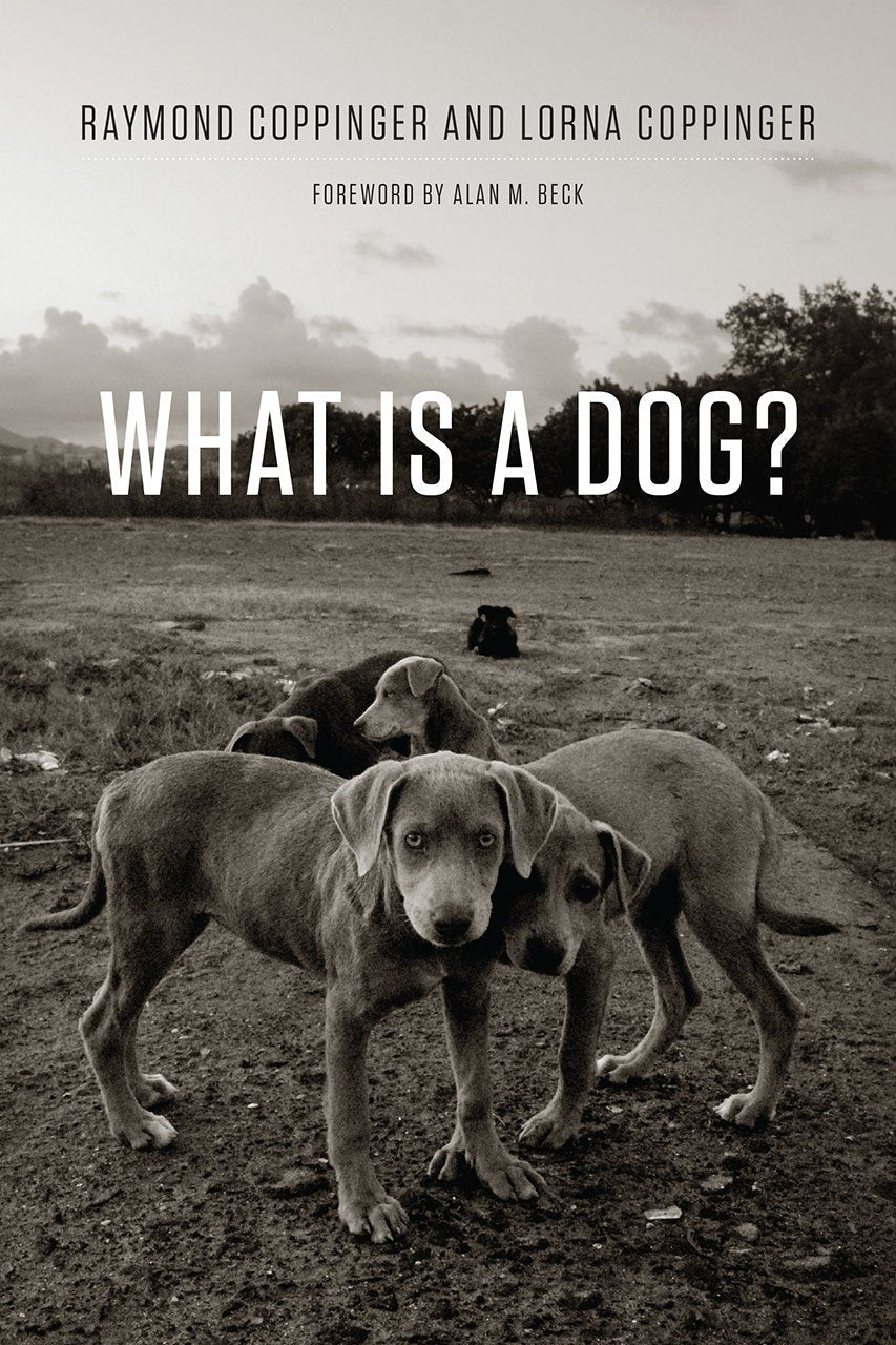 What Is a Dog? book cover