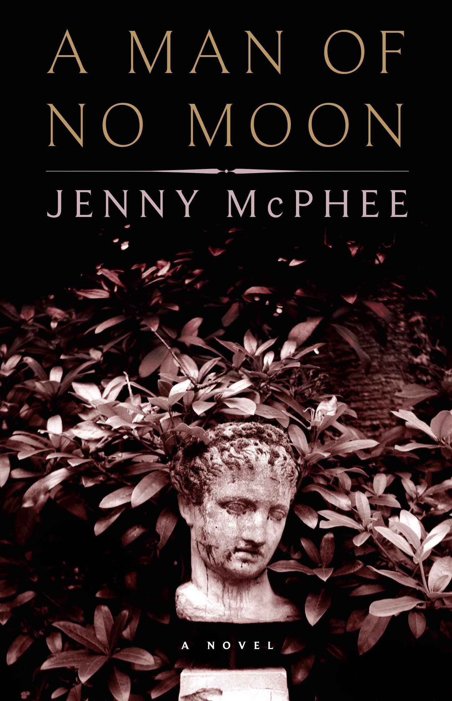Man of No Moon book cover