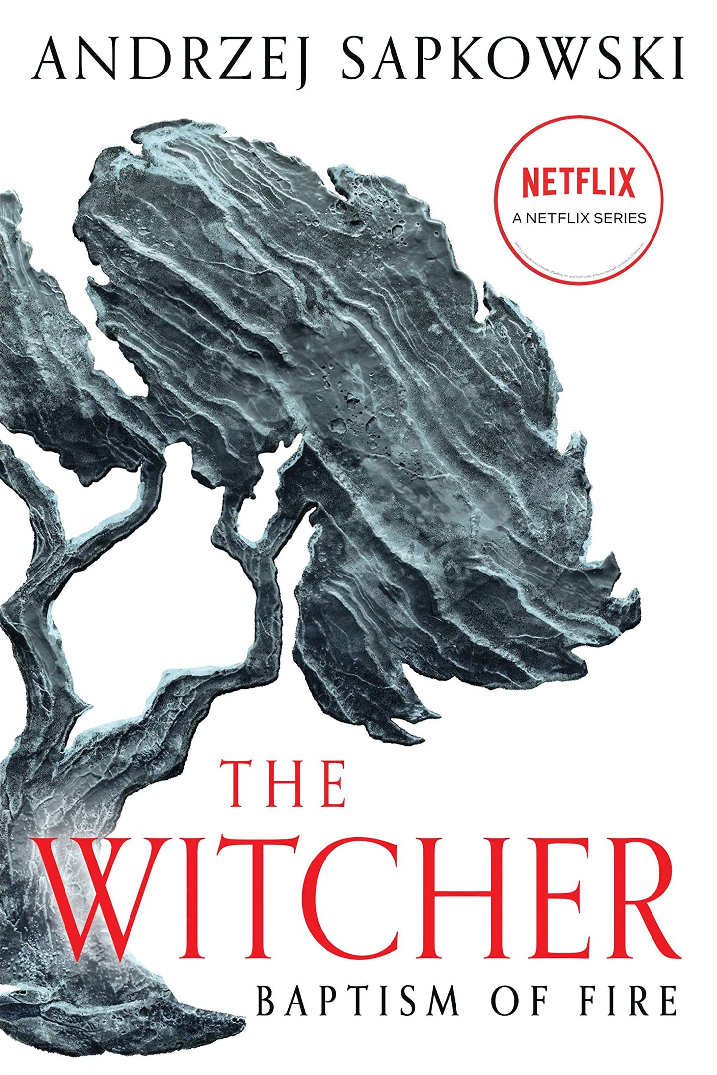 Baptism of Fire book cover