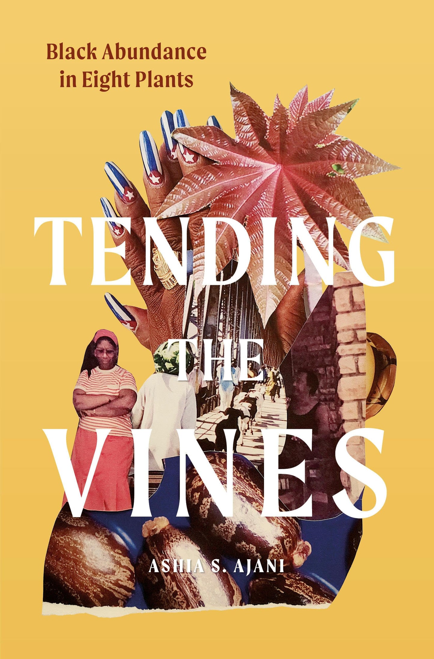 Tending the Vines book cover