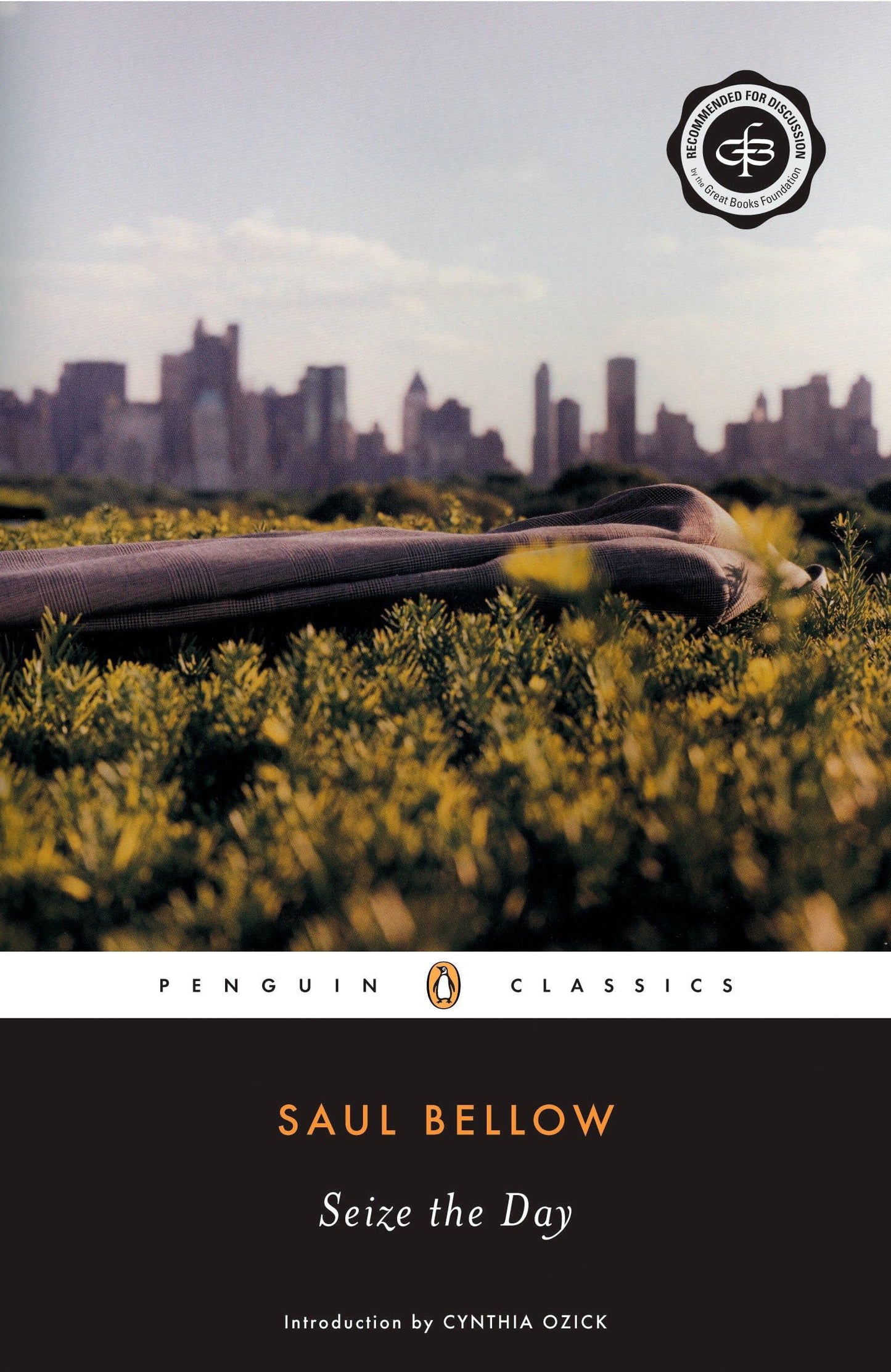 Seize the Day book cover