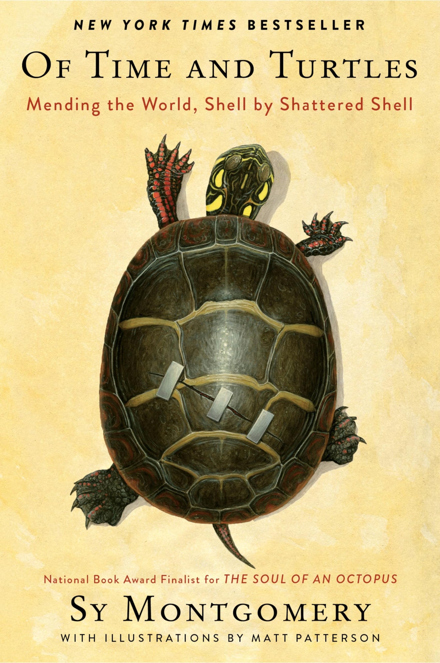 Of Time and Turtles: Mending the World, Shell by Shattered Shell book cover