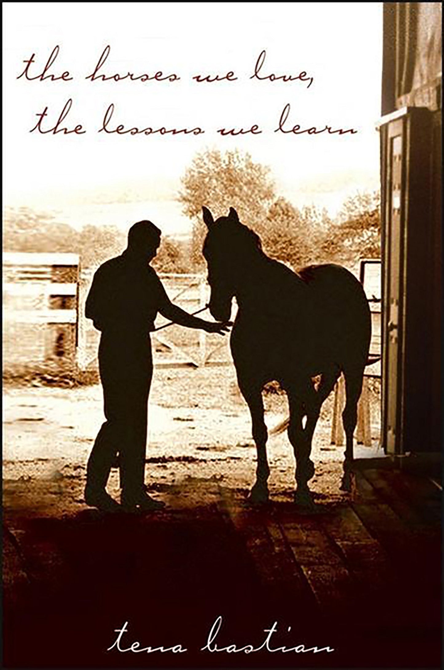 Horses We Love, the Lessons We Learn book cover