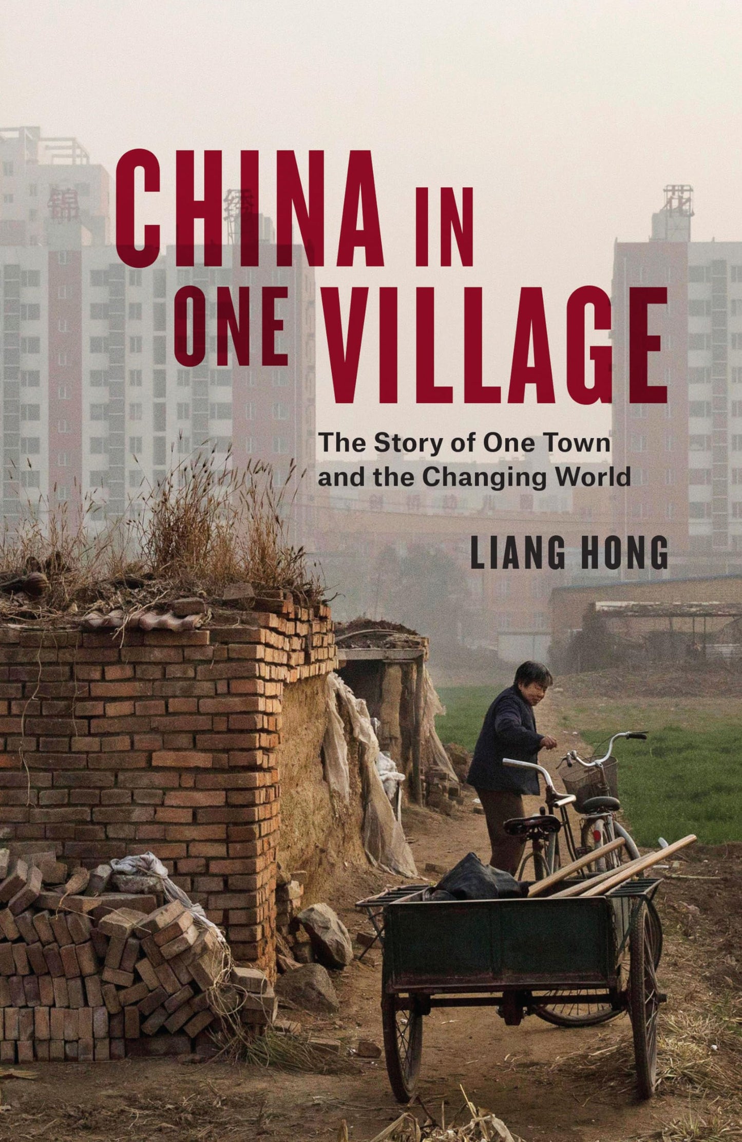 China in One Village: The Story of One Town and the Changing World book cover