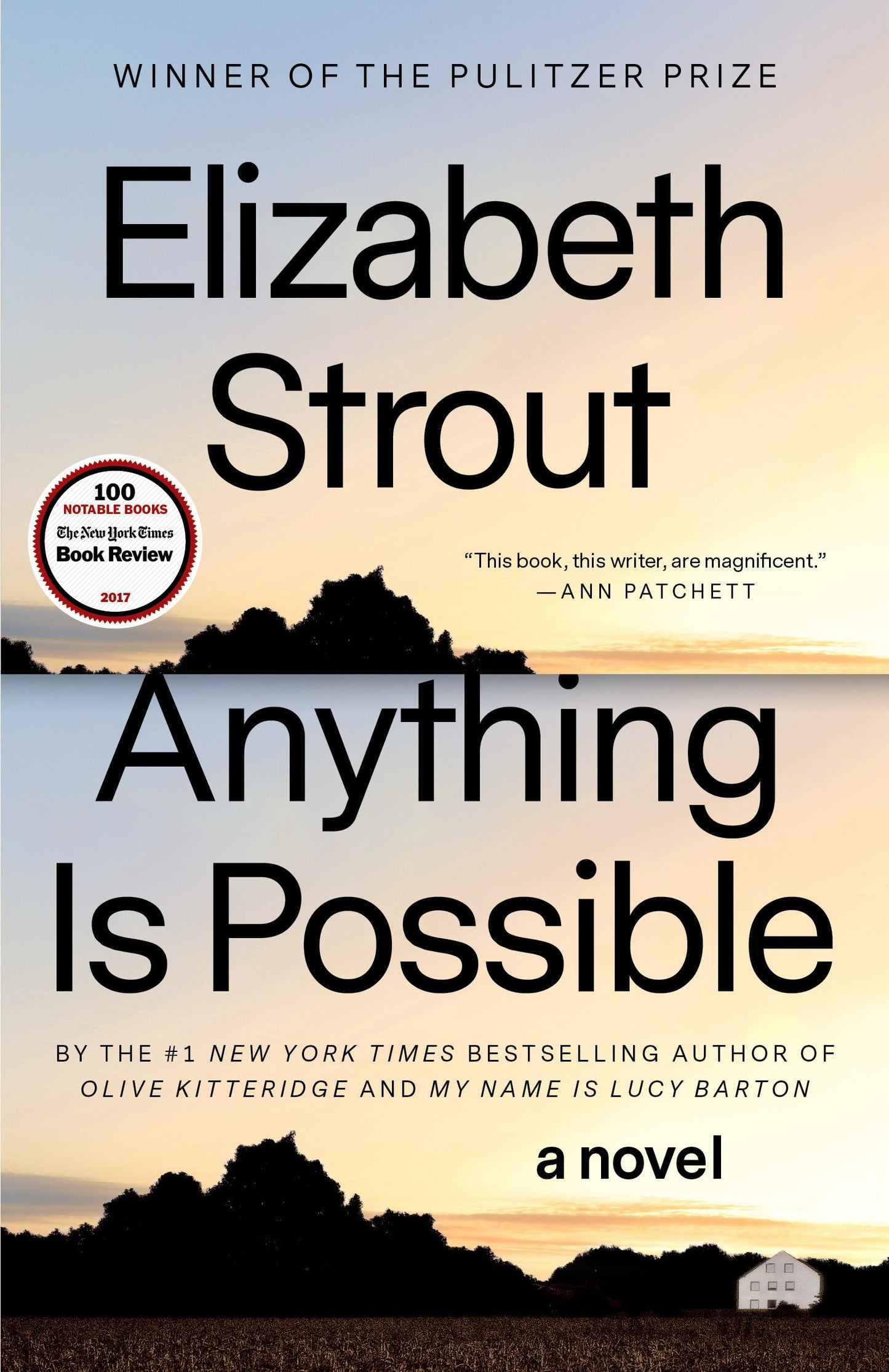 Anything Is Possible book cover