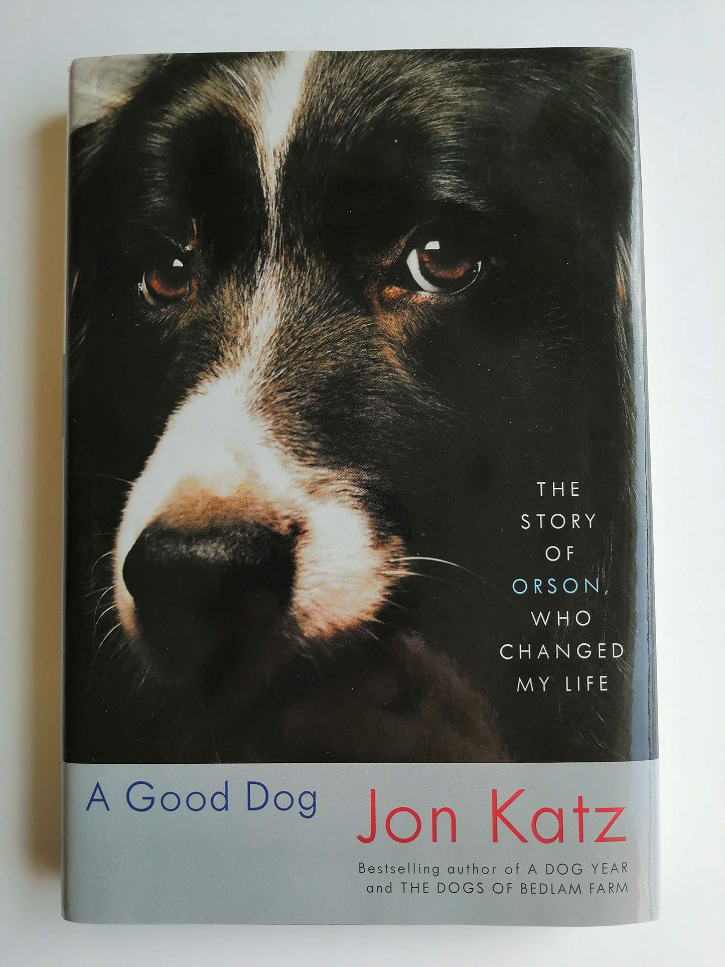 Good Dog: The Story of Orson, Who Changed My Life book cover