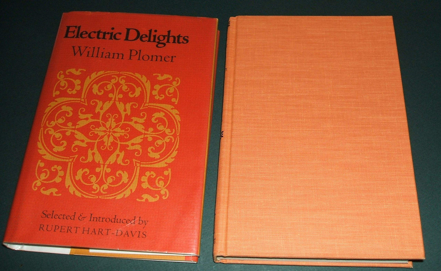 Electric Delights book cover