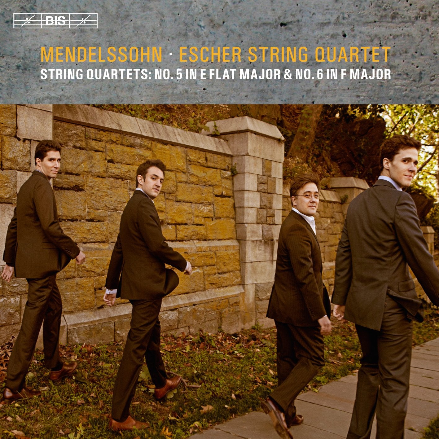 Mendelssohn: String Quartets 5 & 6 book cover