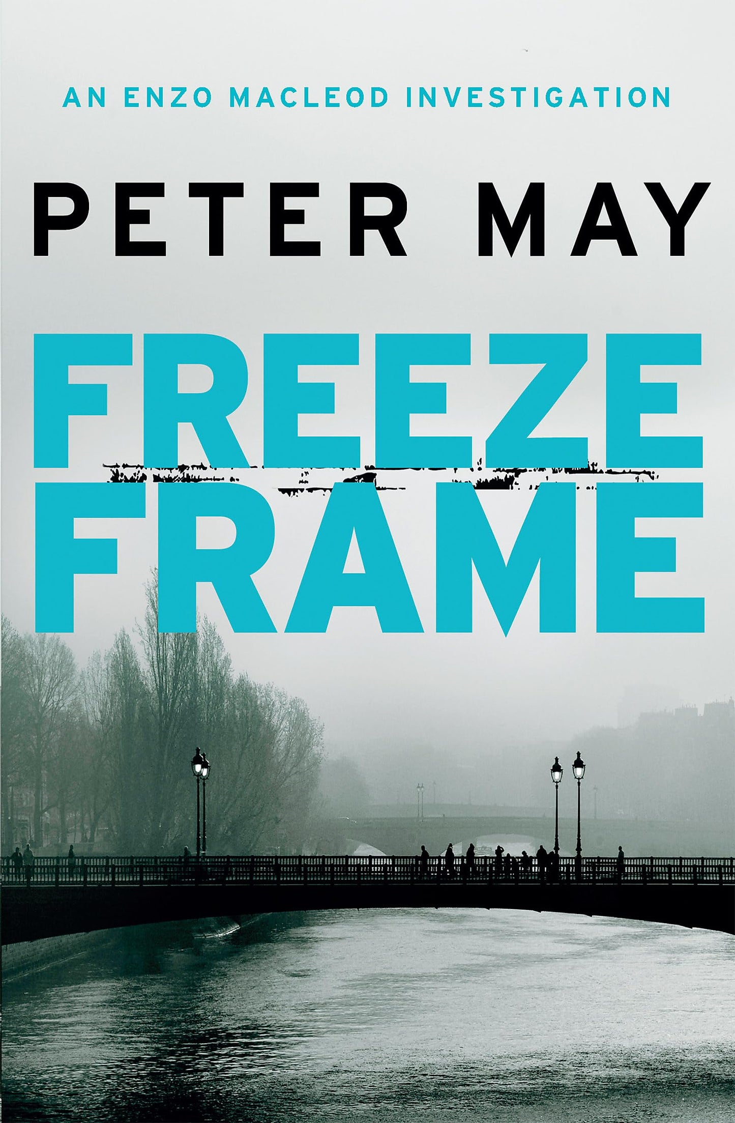 Freeze Frame book cover
