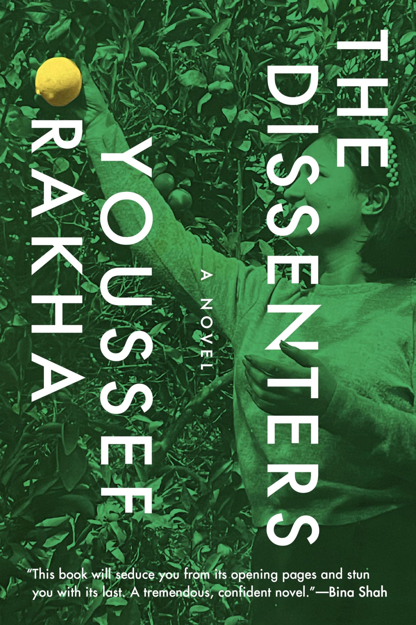 The Dissenters book cover