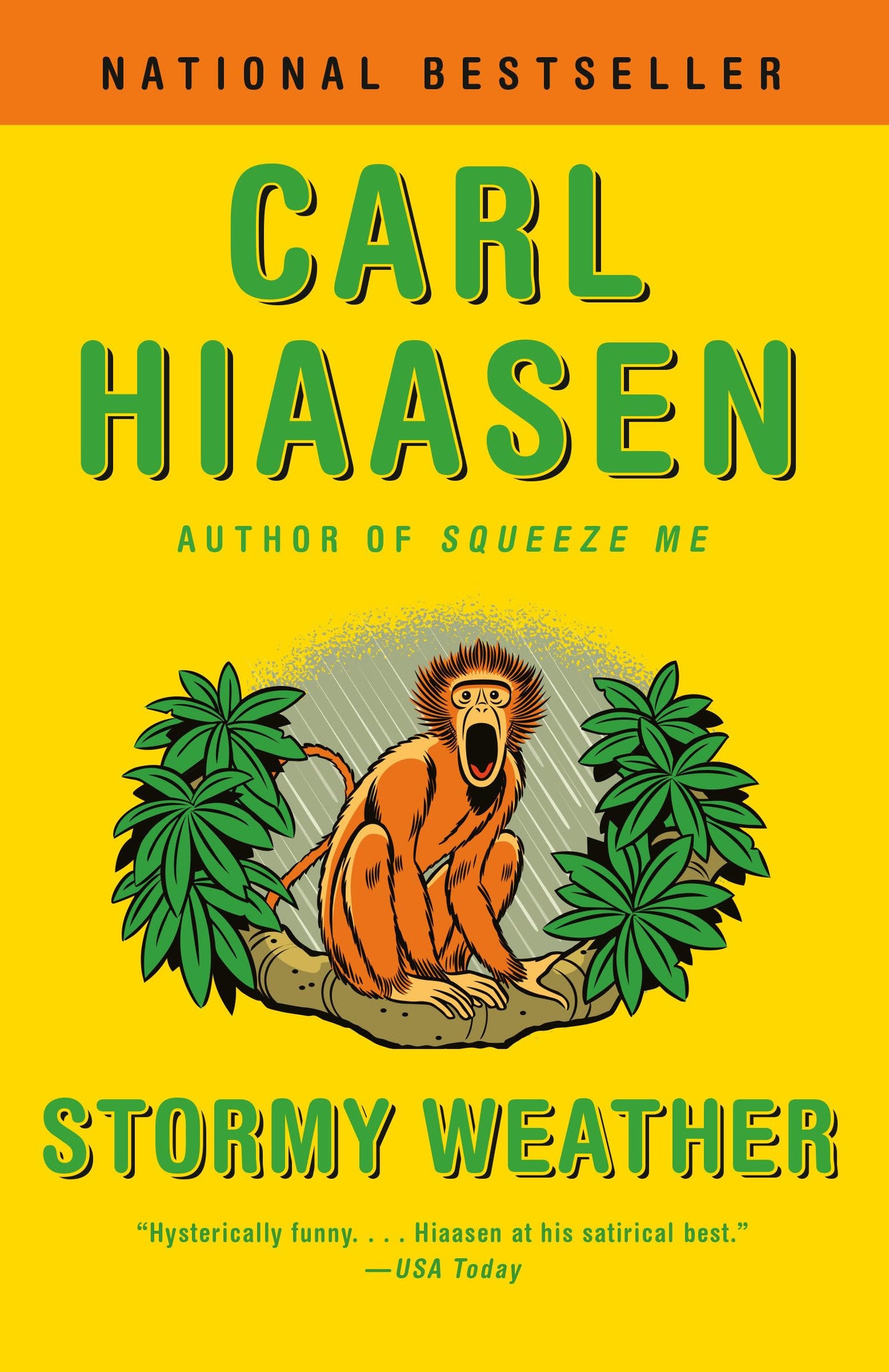 Stormy Weather book cover