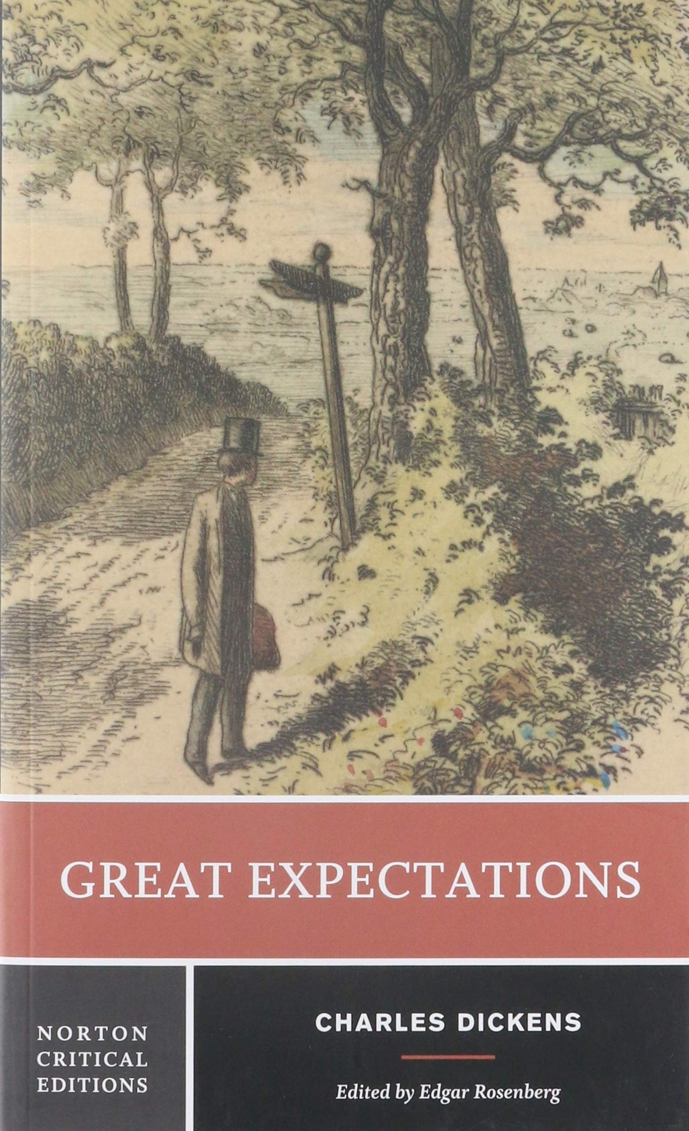 Great Expectations: A Norton Critical Edition book cover