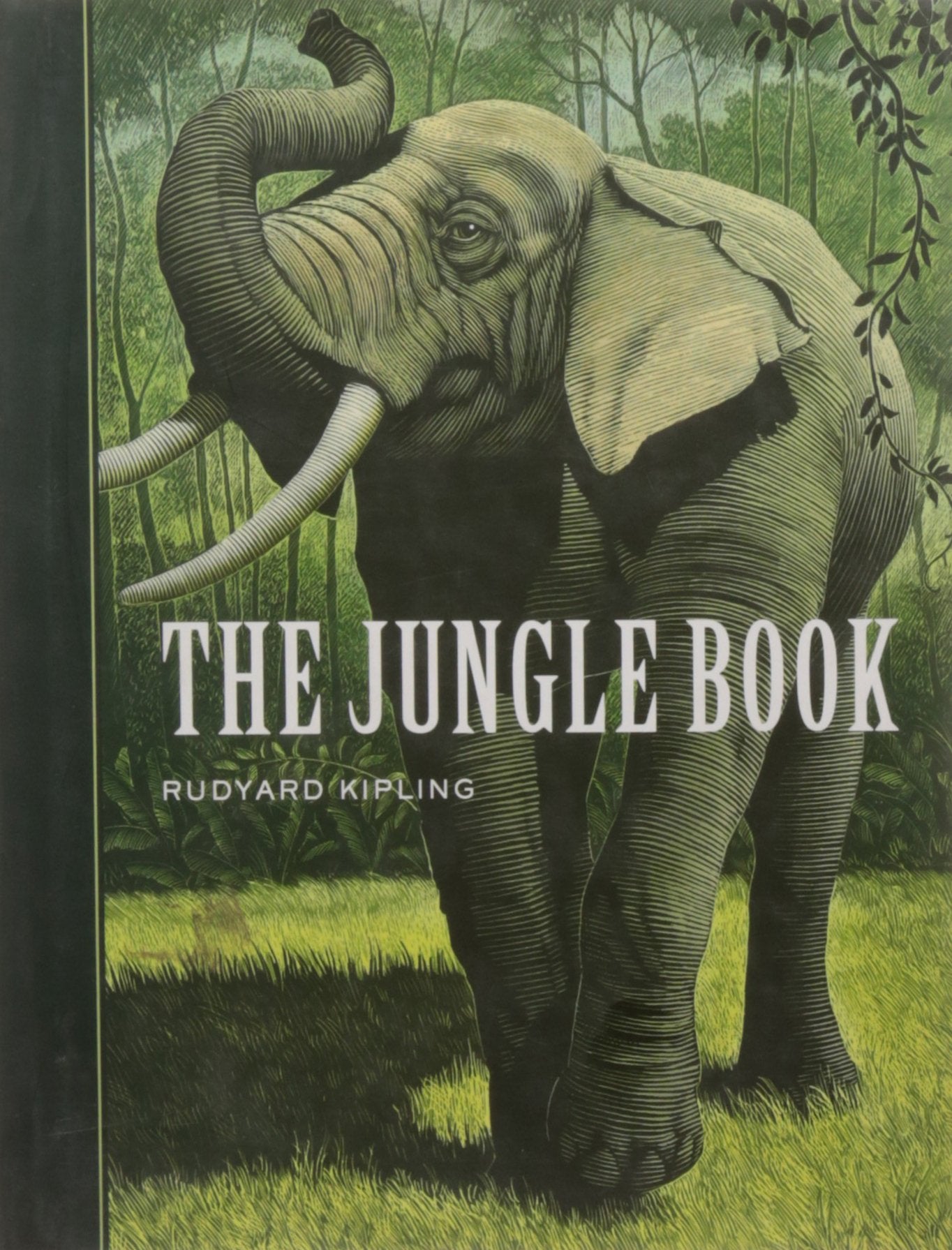 Jungle Book book cover