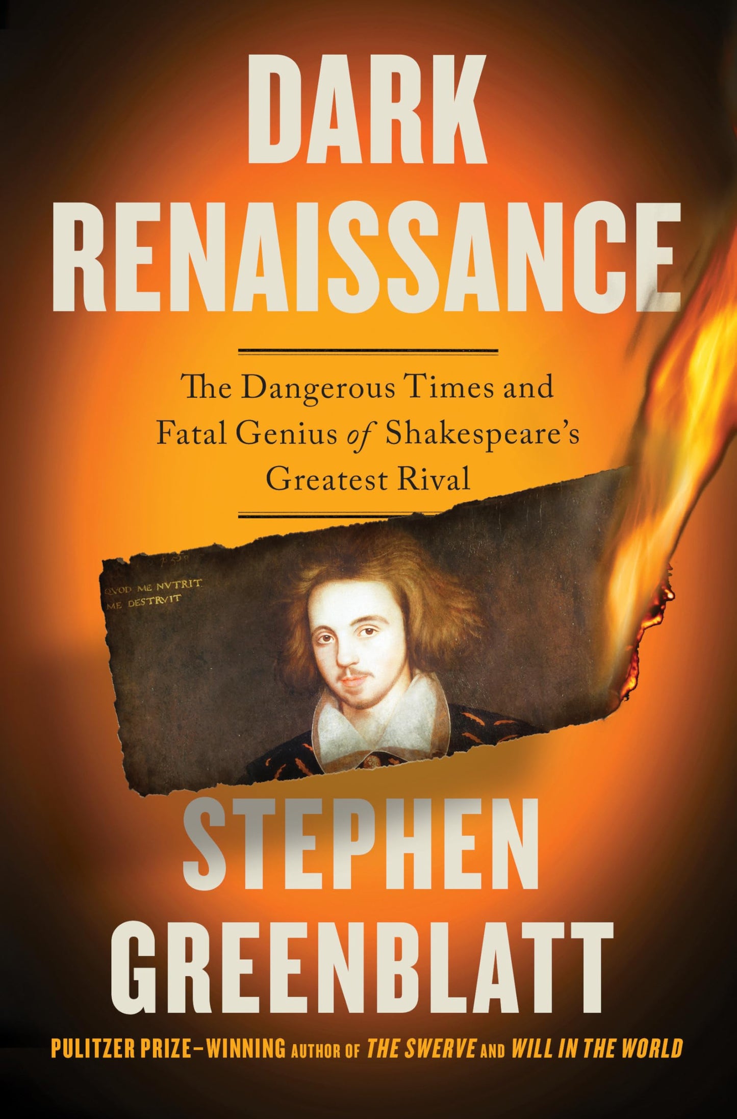 Dark Renaissance book cover