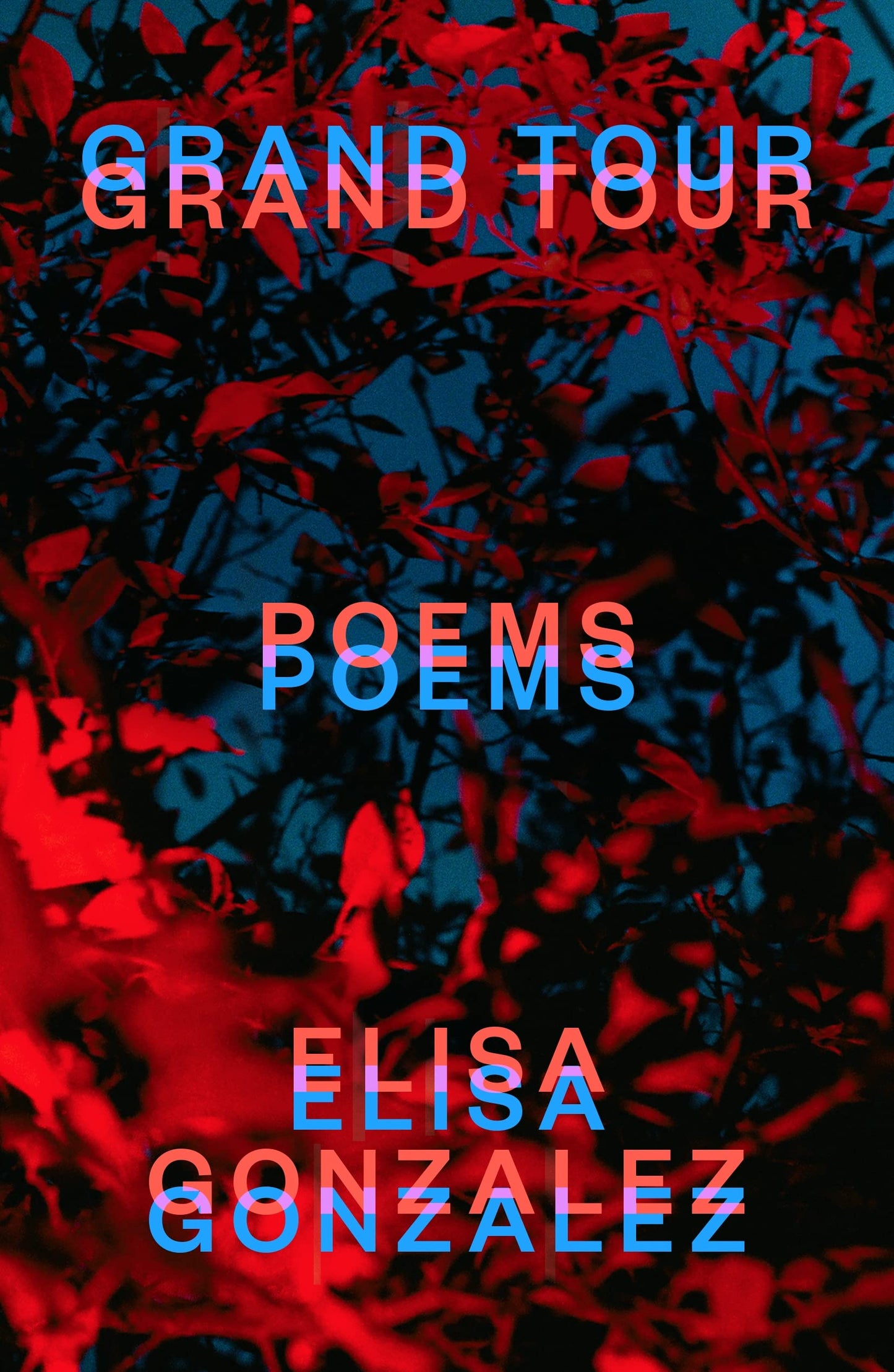 Grand Tour: Poems book cover