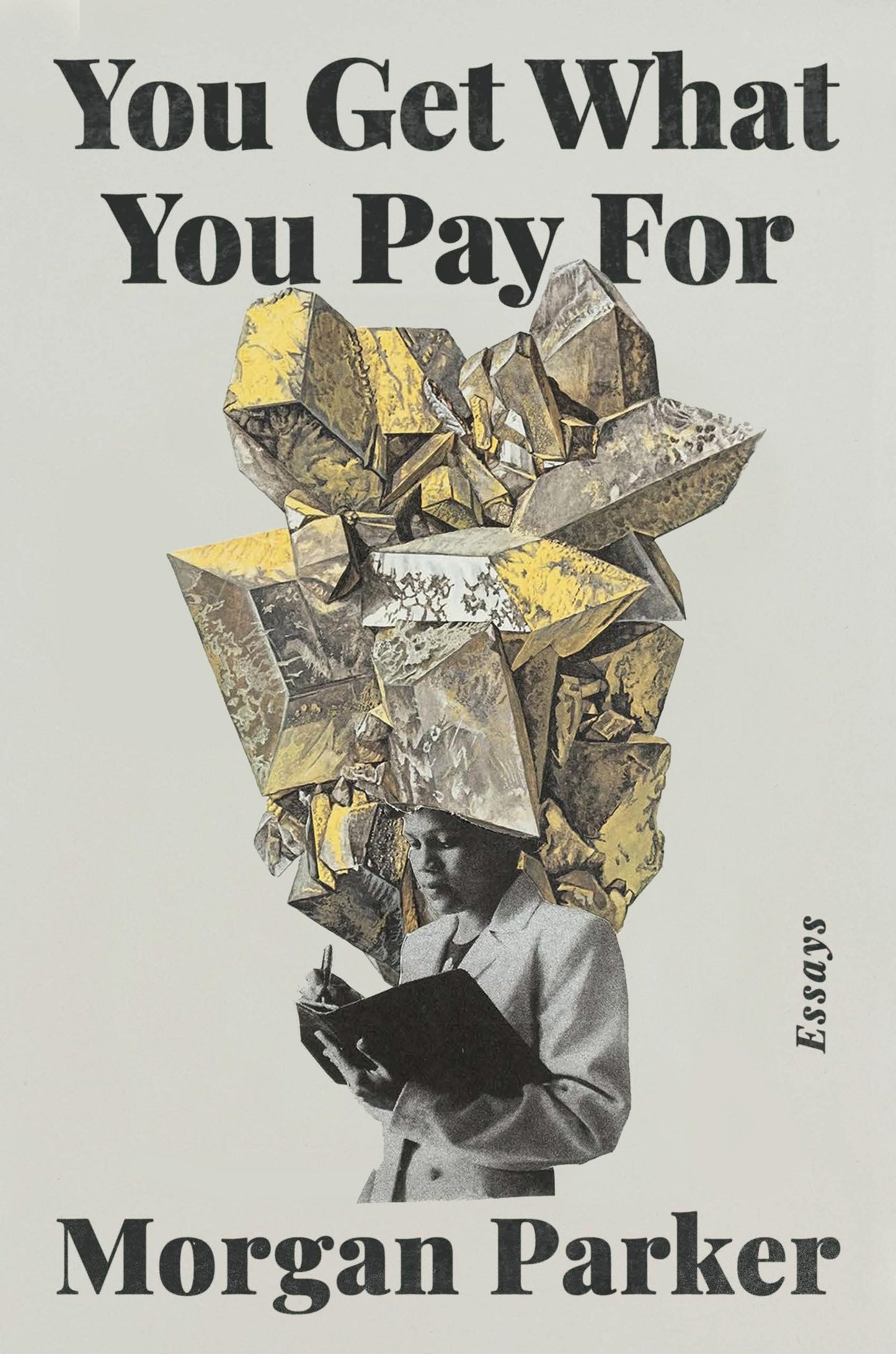 You Get What You Pay for: Essays book cover