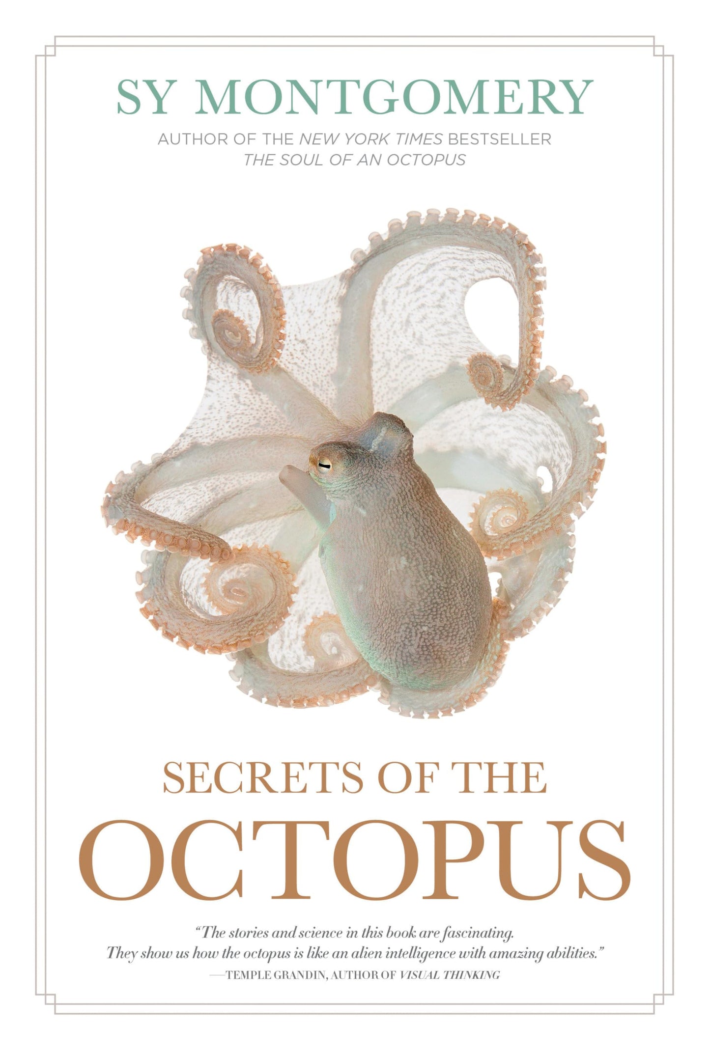 Secrets of the Octopus book cover