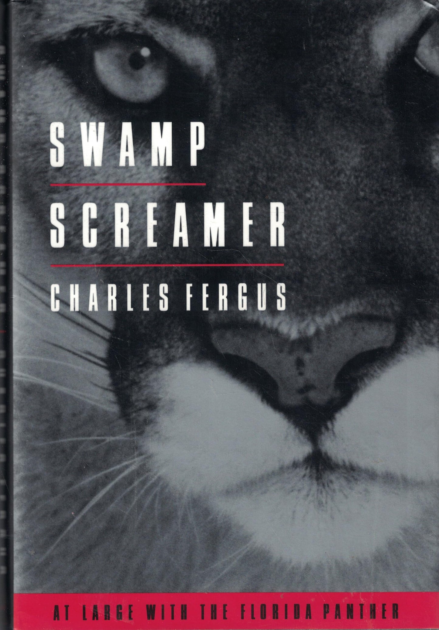 Swamp Screamers: At Large with the Florida Panther book cover