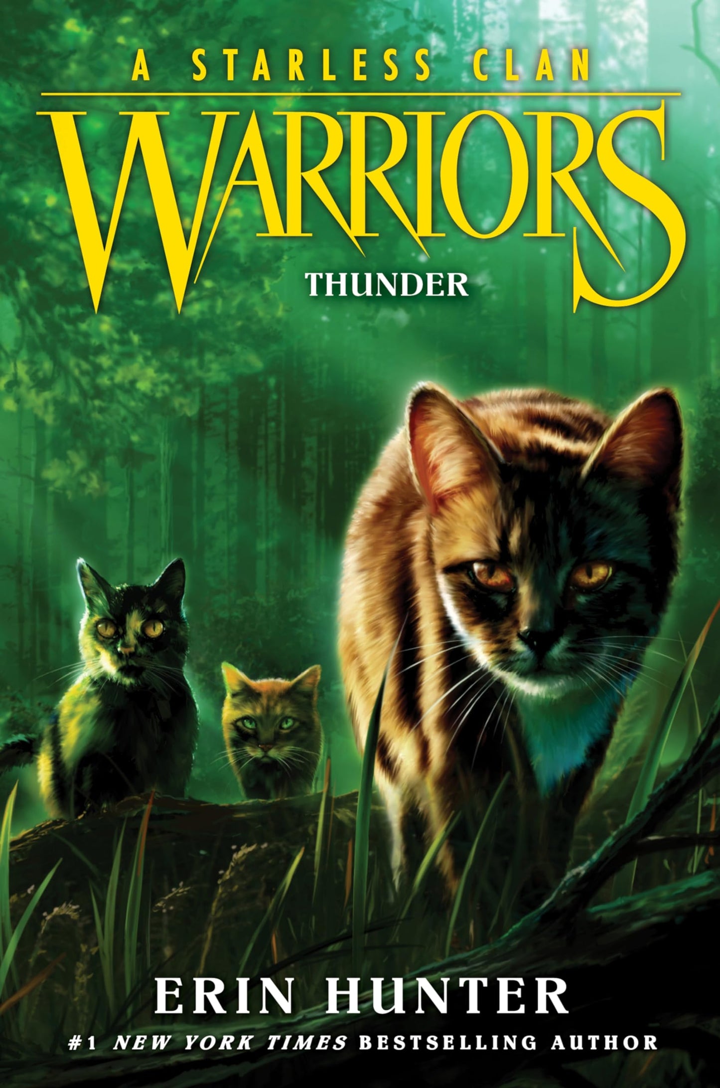 Thunder book cover