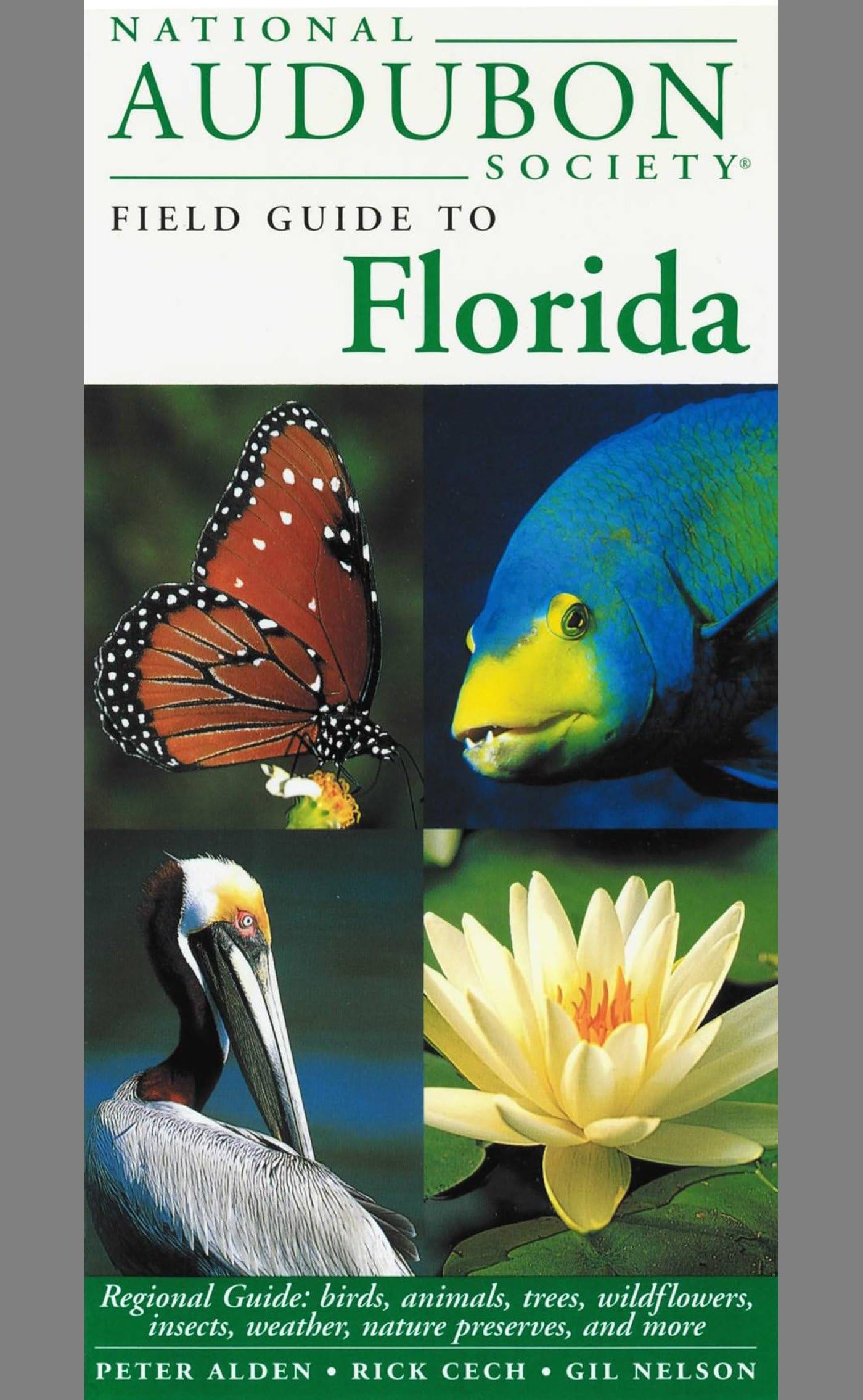 National Audubon Society Field Guide to Florida: Regional Guide: Birds, Animals, Trees, Wildflowers, Insects, Weather, Nature Preserves, and More book cover