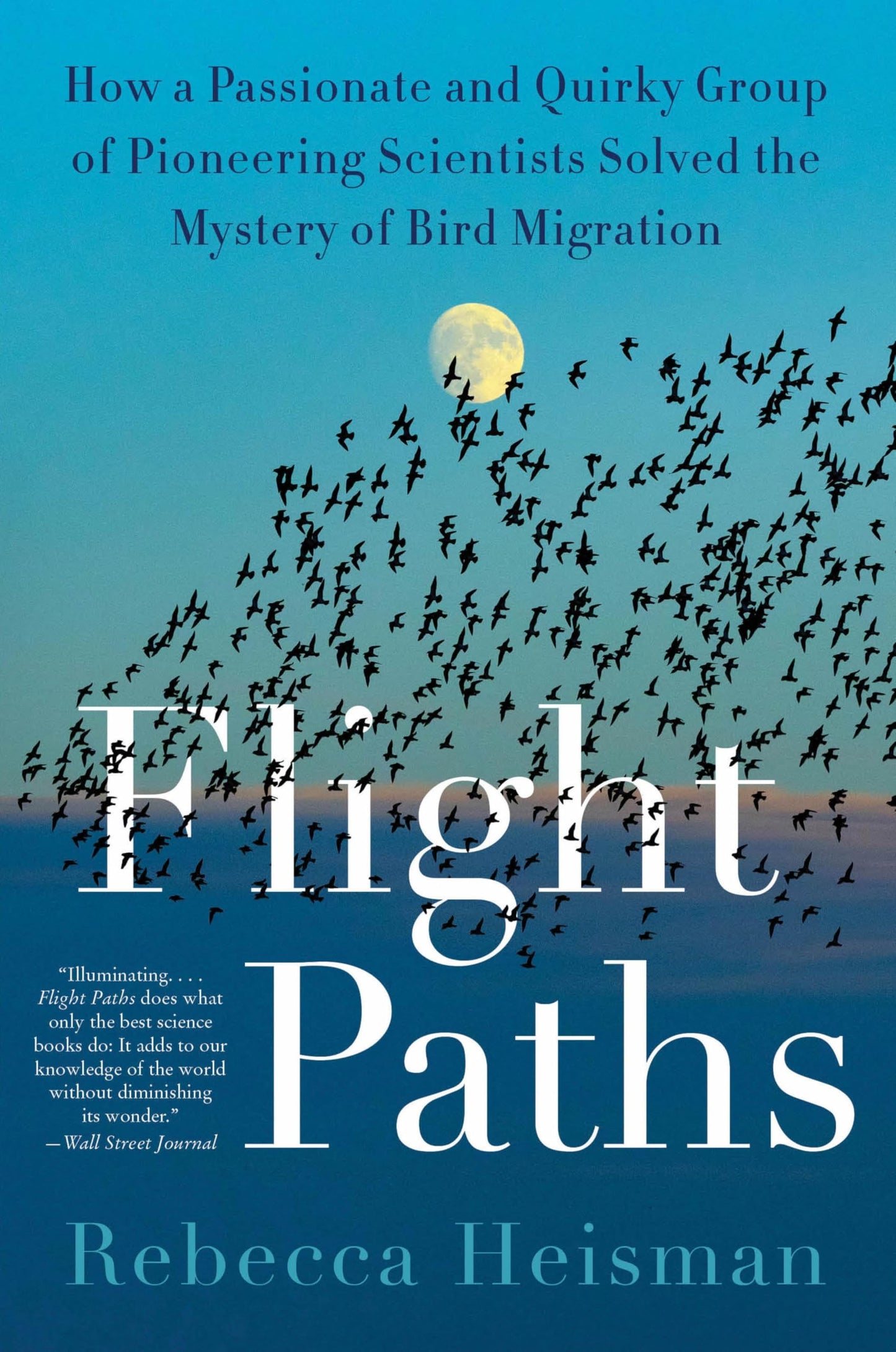 Flight Paths book cover