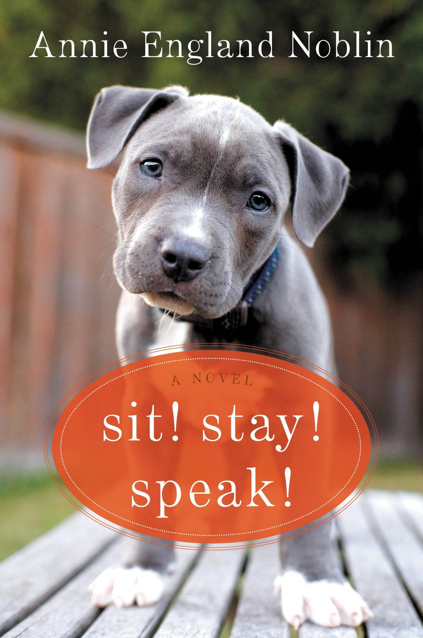 Sit! Stay! Speak! book cover