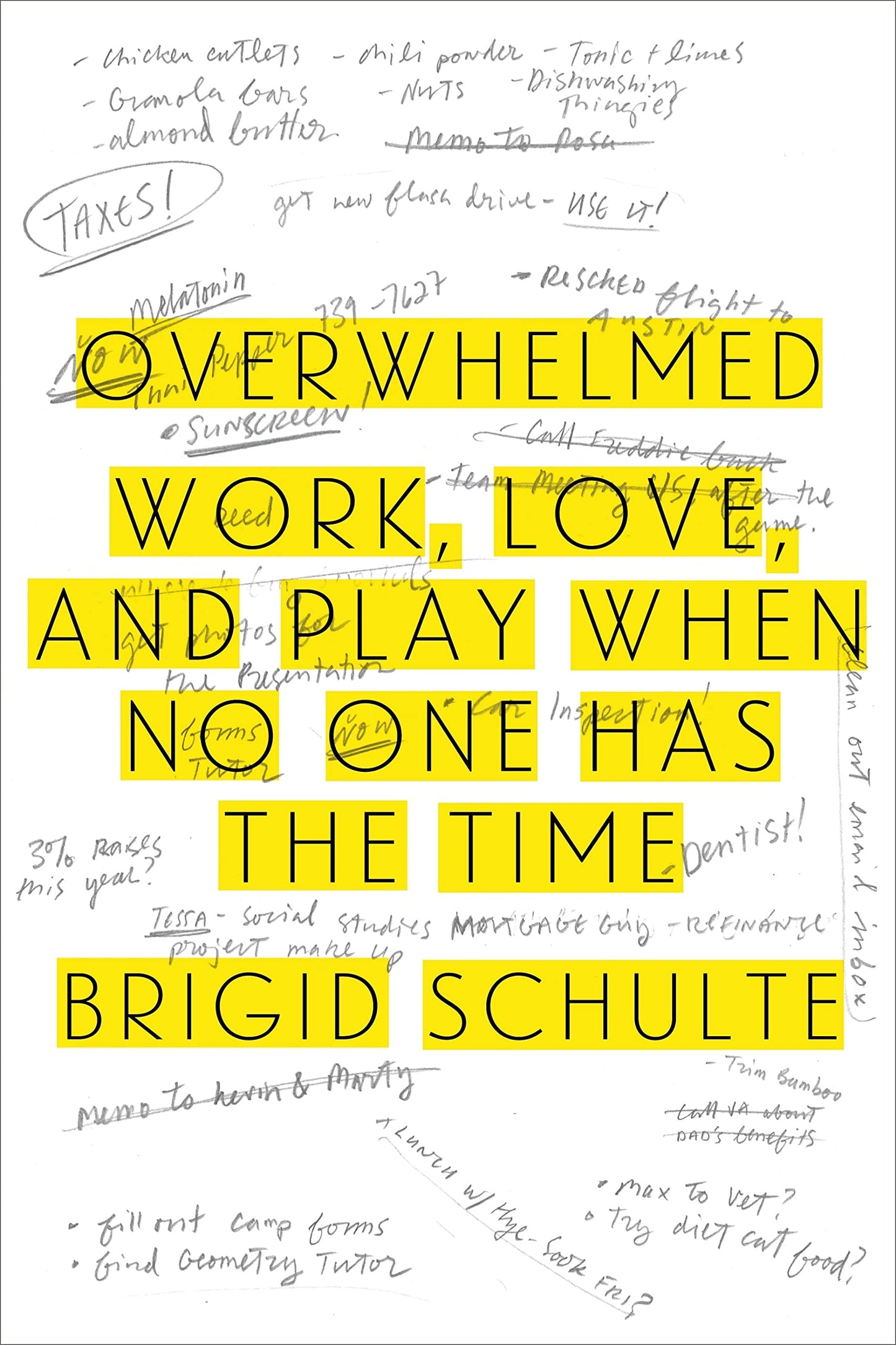 Overwhelmed: Work, Love, and Play When No One Has the Time book cover