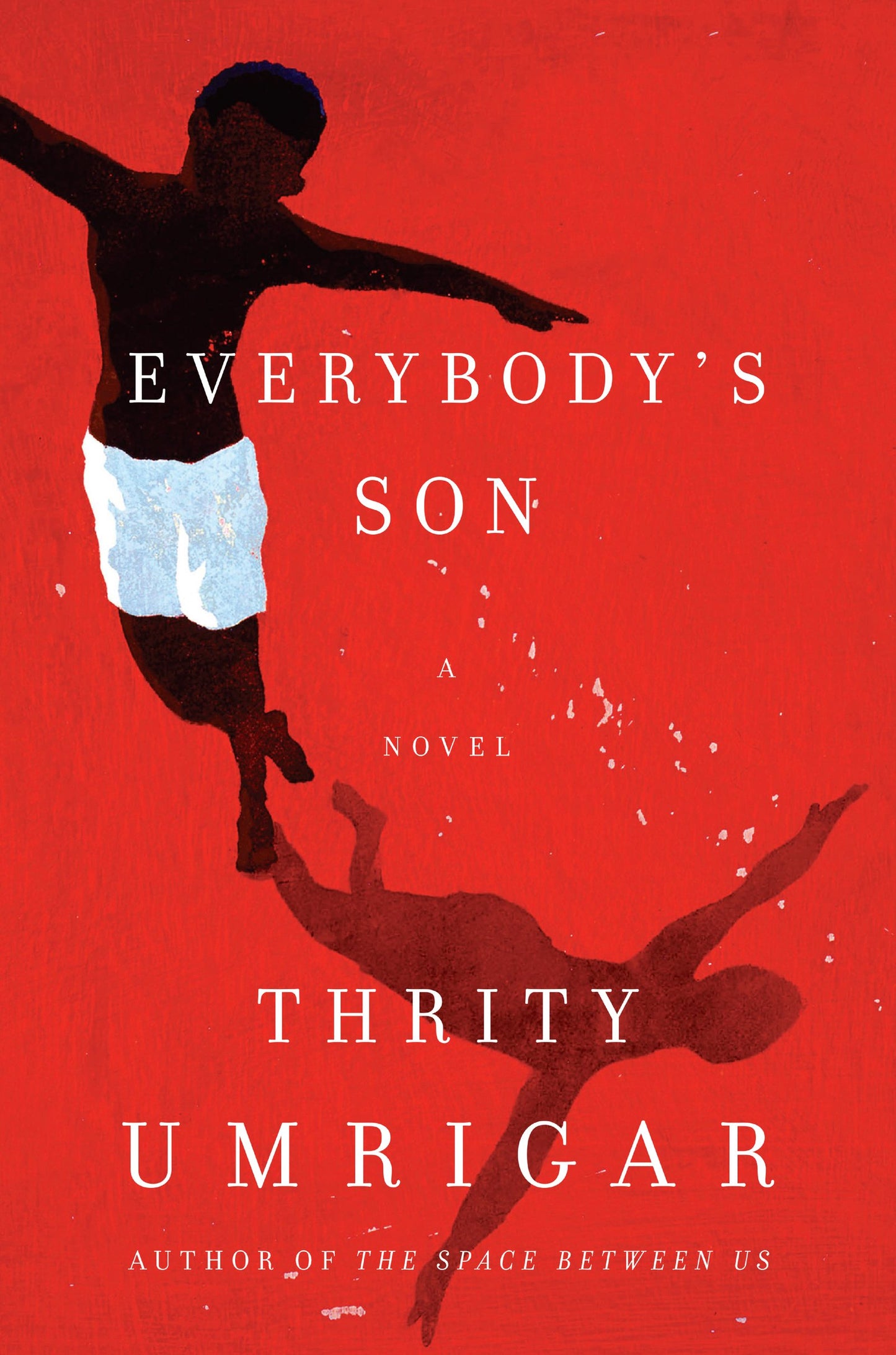 Everybody's Son book cover