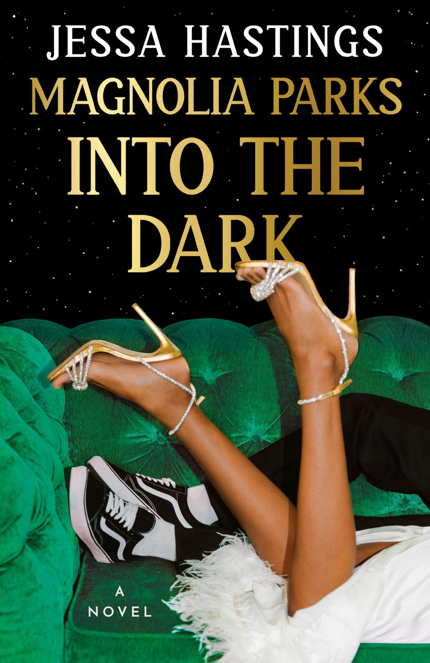 Magnolia Parks: Into the Dark book cover
