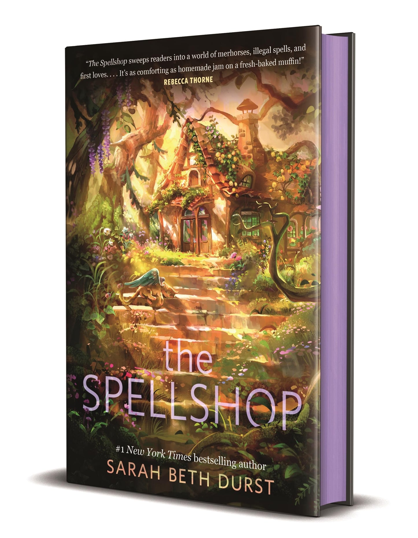 Spellshop book cover