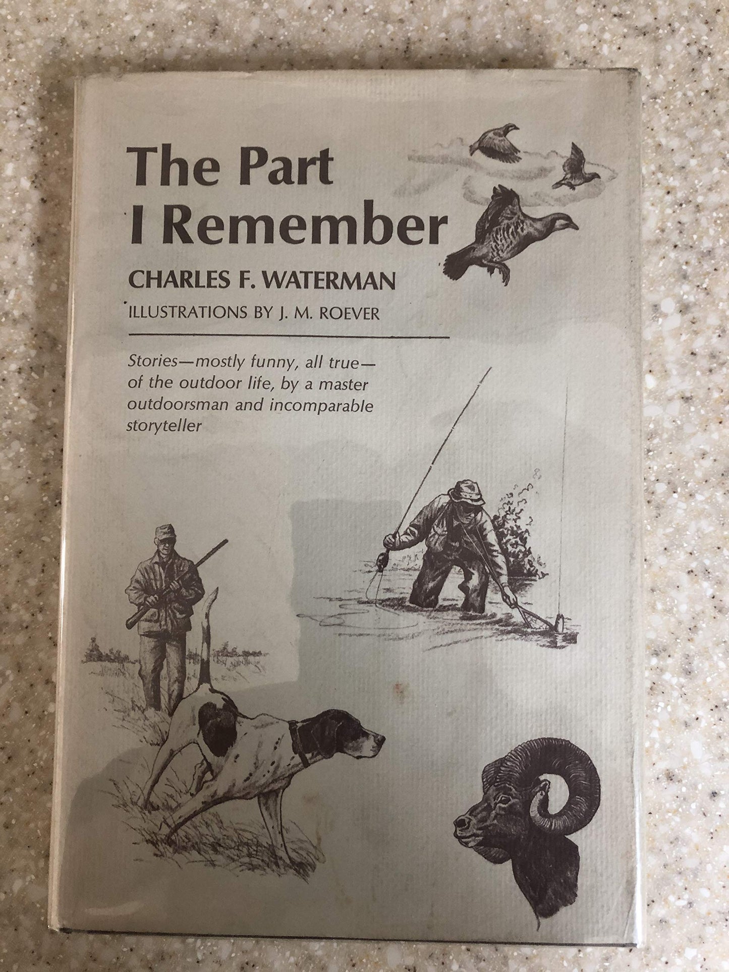 The Part I Remember book cover