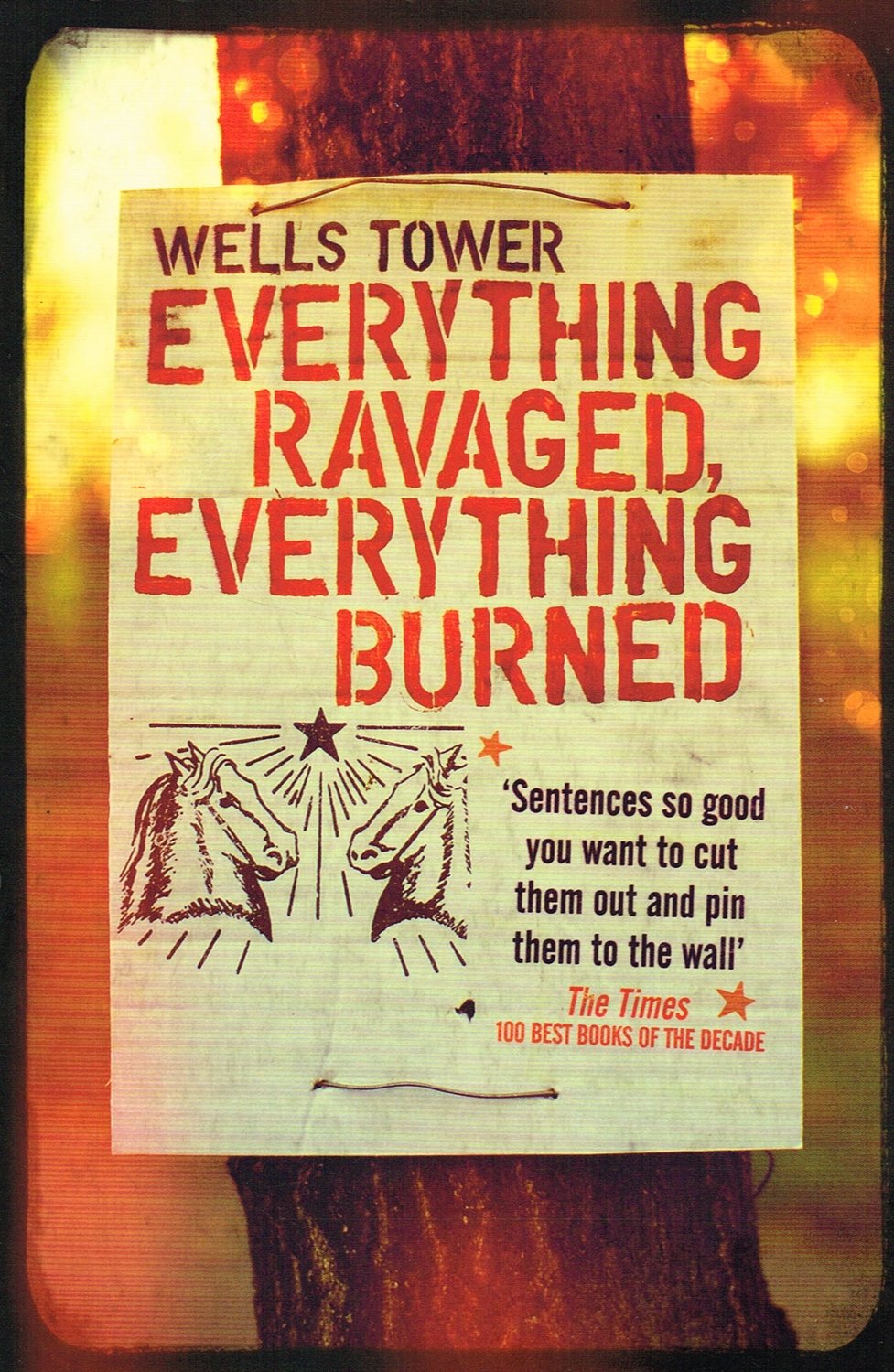 Everything Ravaged, Everything Burned: Stories book cover