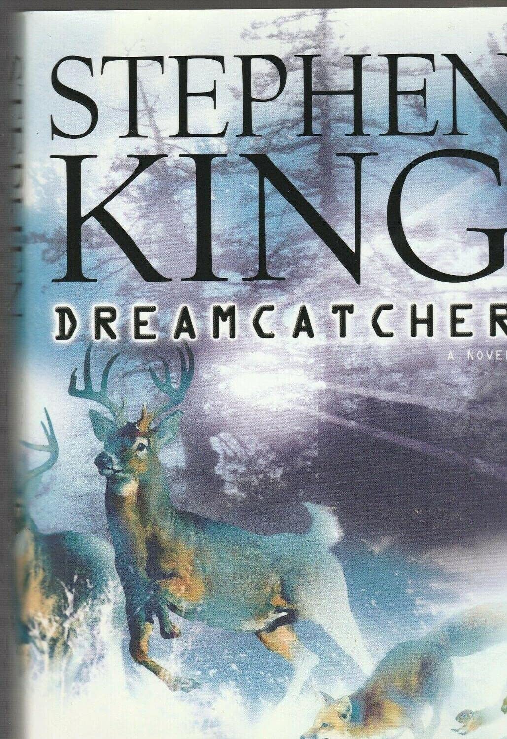 Dreamcatcher book cover