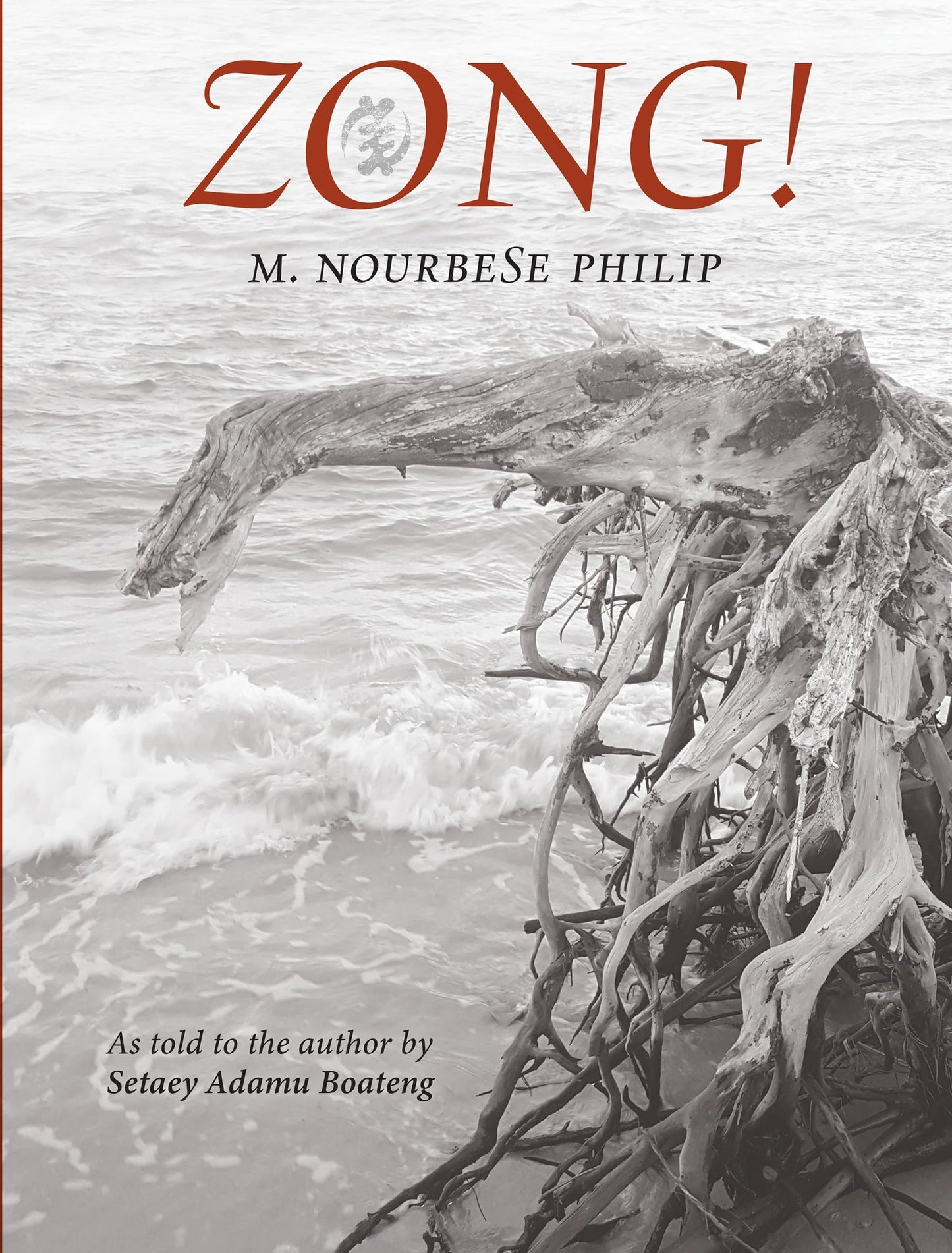 Zong! book cover