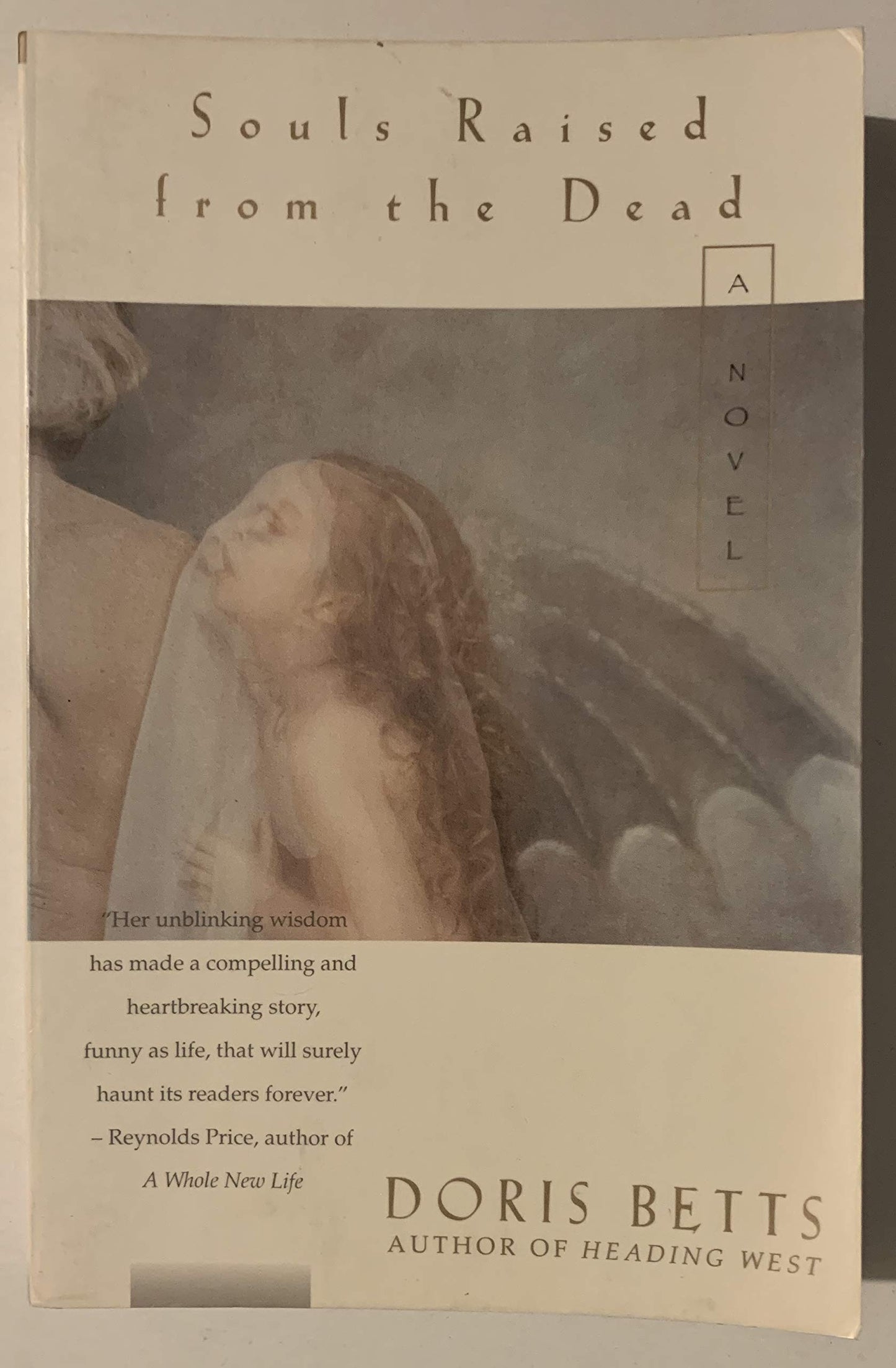 Souls Raised from the Dead (Scribner PB Fic) book cover