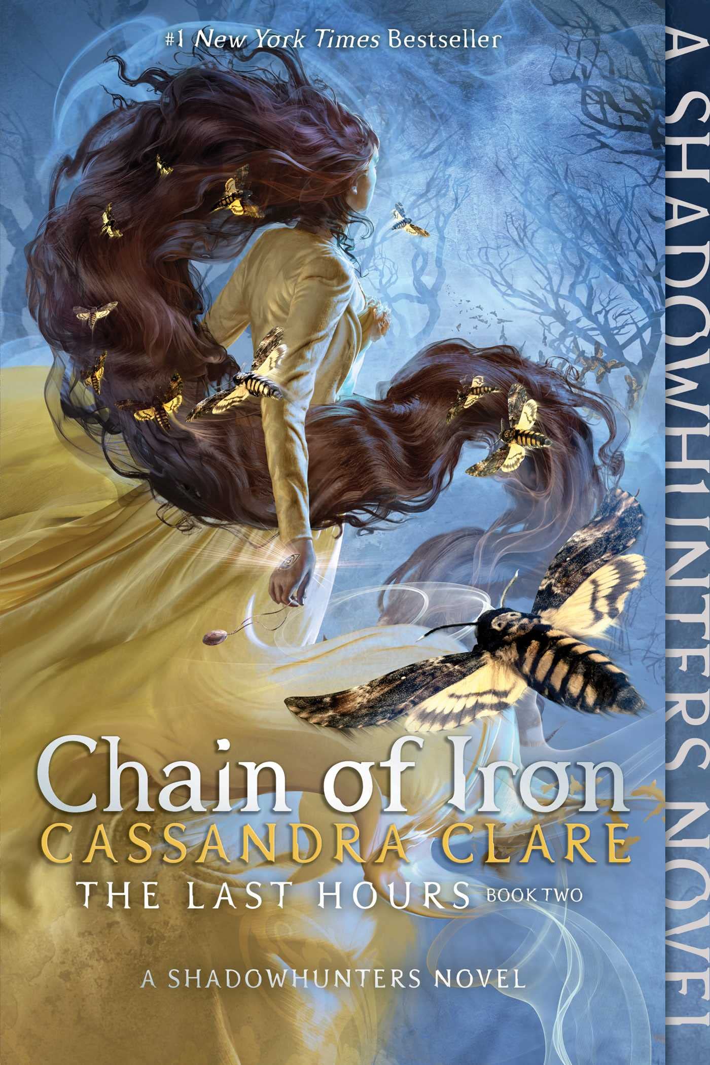 Chain of Iron (Reprint) book cover