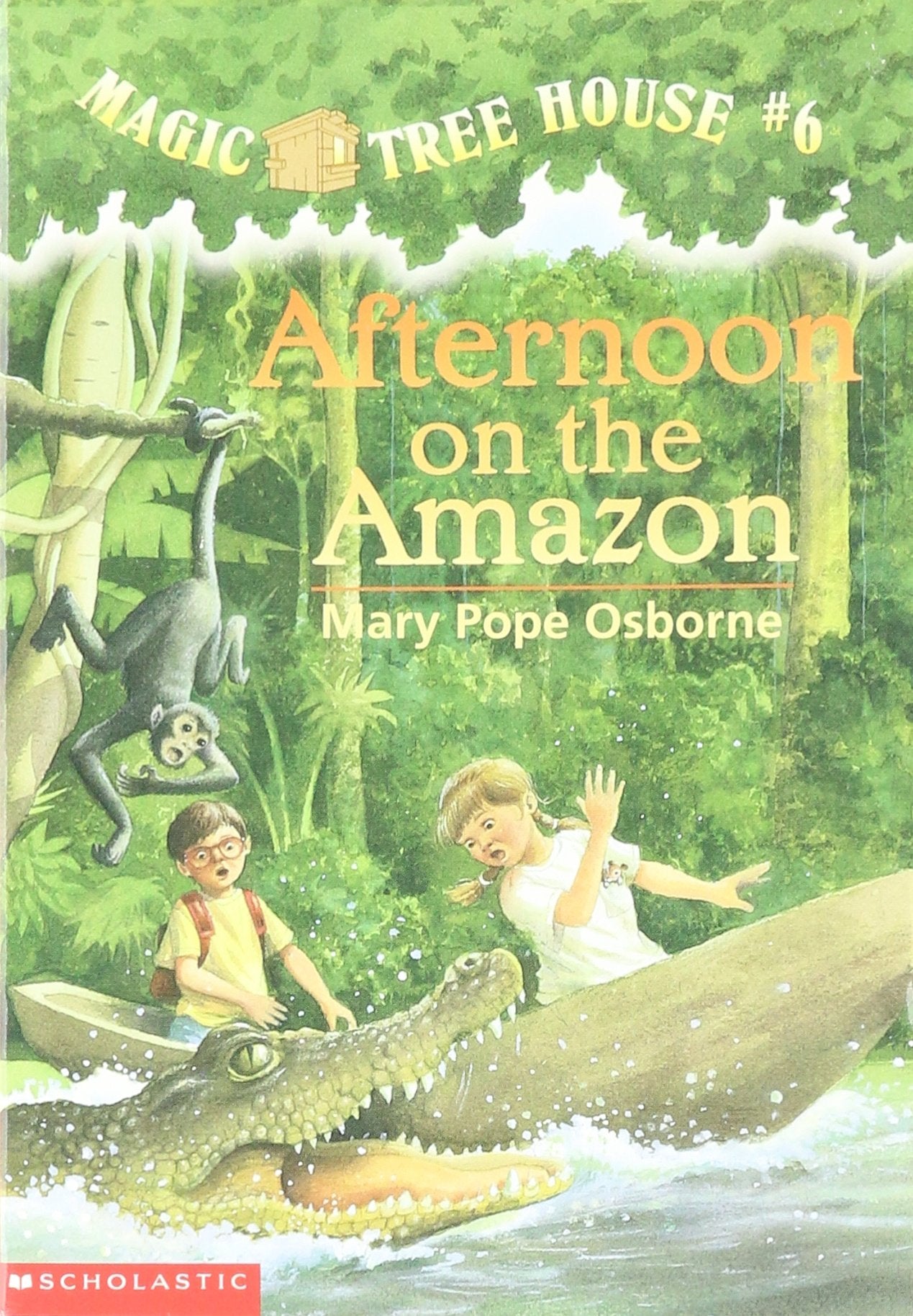 Afternoon on the Amazon book cover