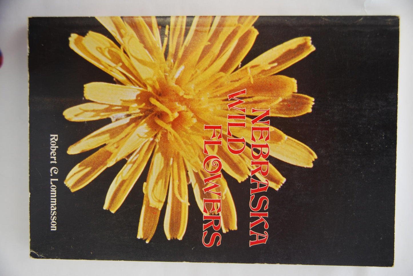 Nebraska Wild Flowers book cover