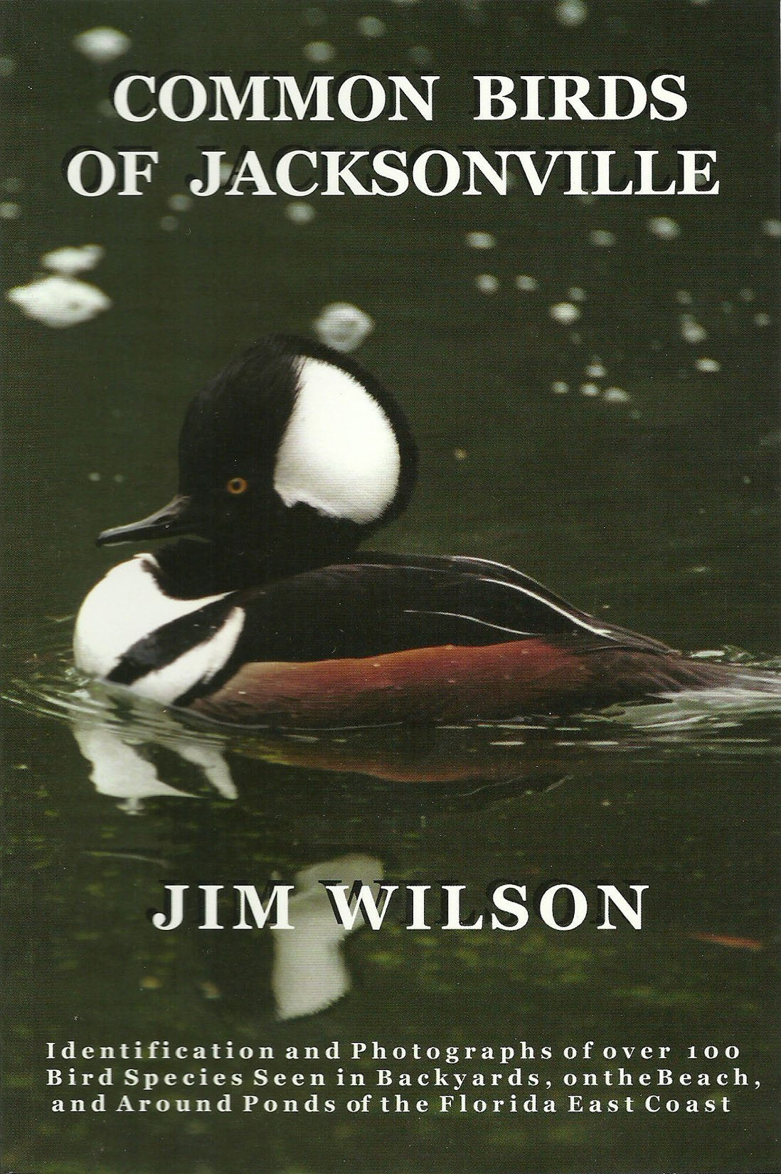 Common Birds of Jacksonville book cover