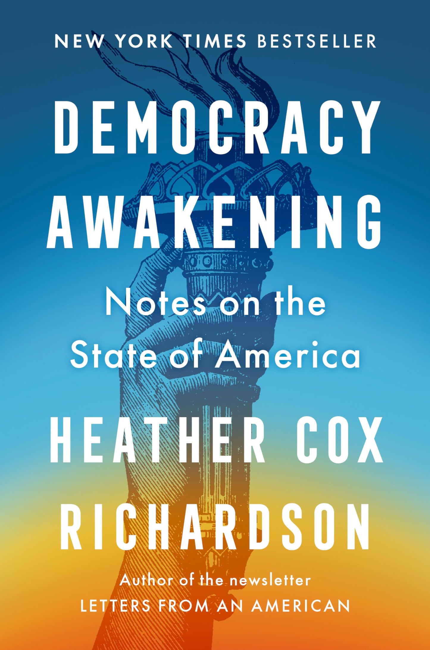 Democracy Awakening: Notes on the State of America book cover