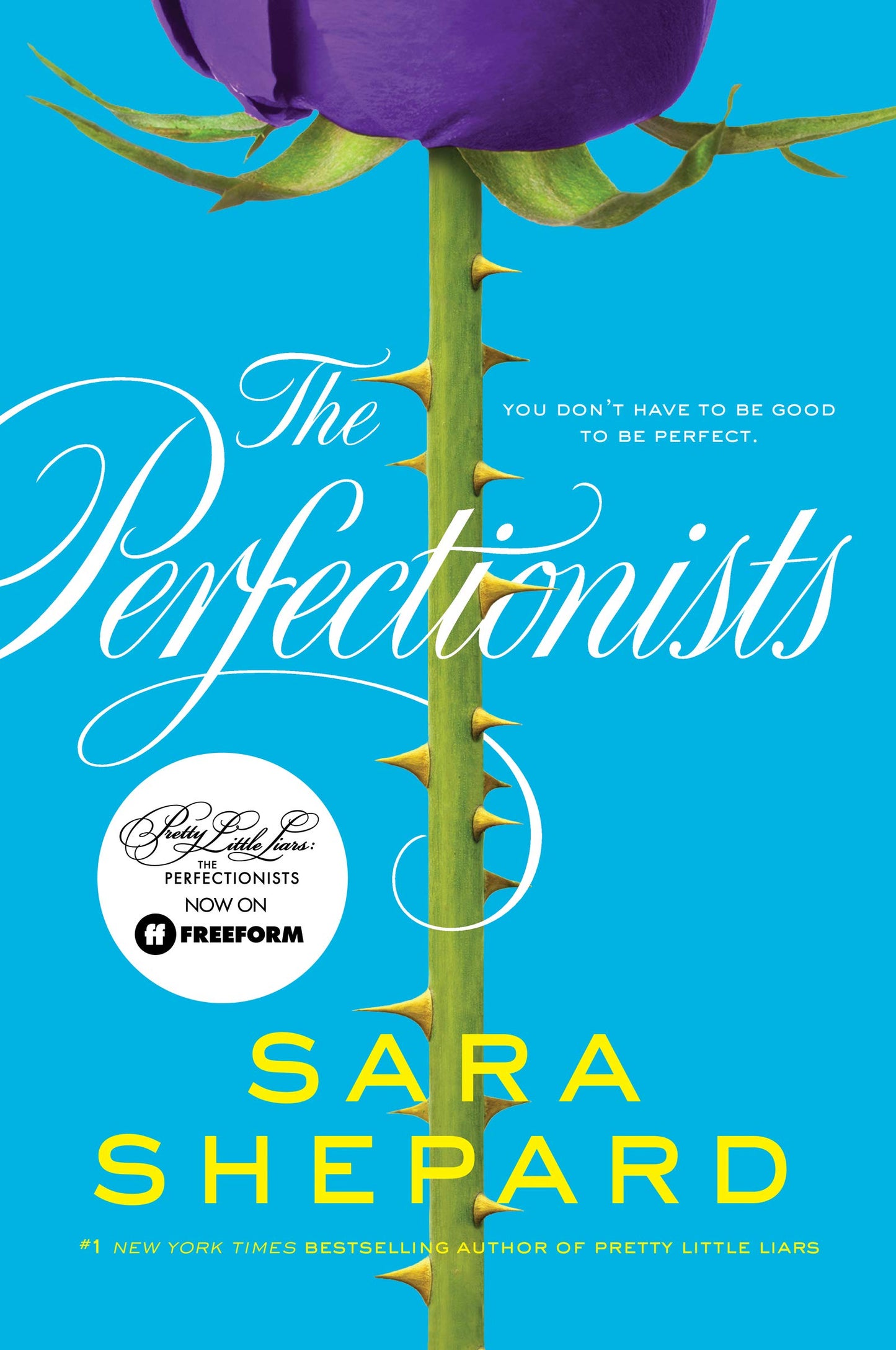 Perfectionists book cover