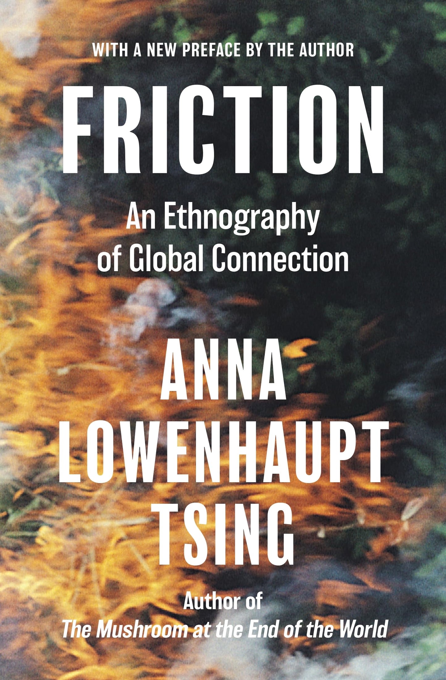 Friction: An Ethnography of Global Connection book cover