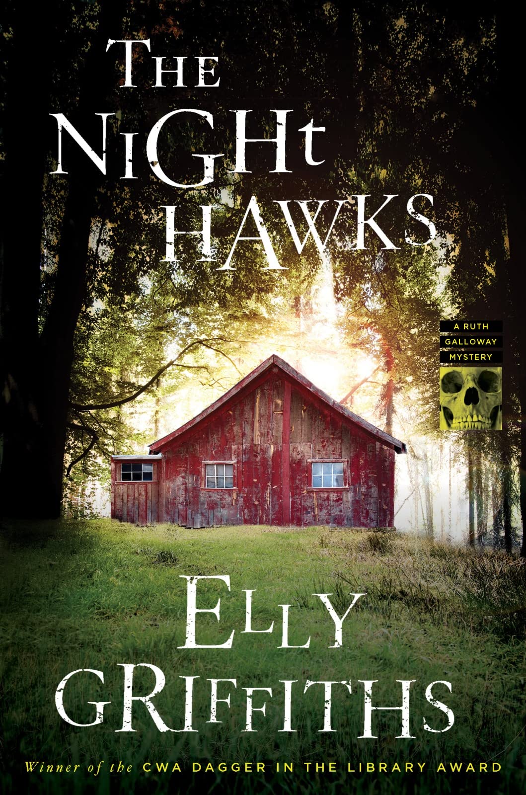 Night Hawks book cover