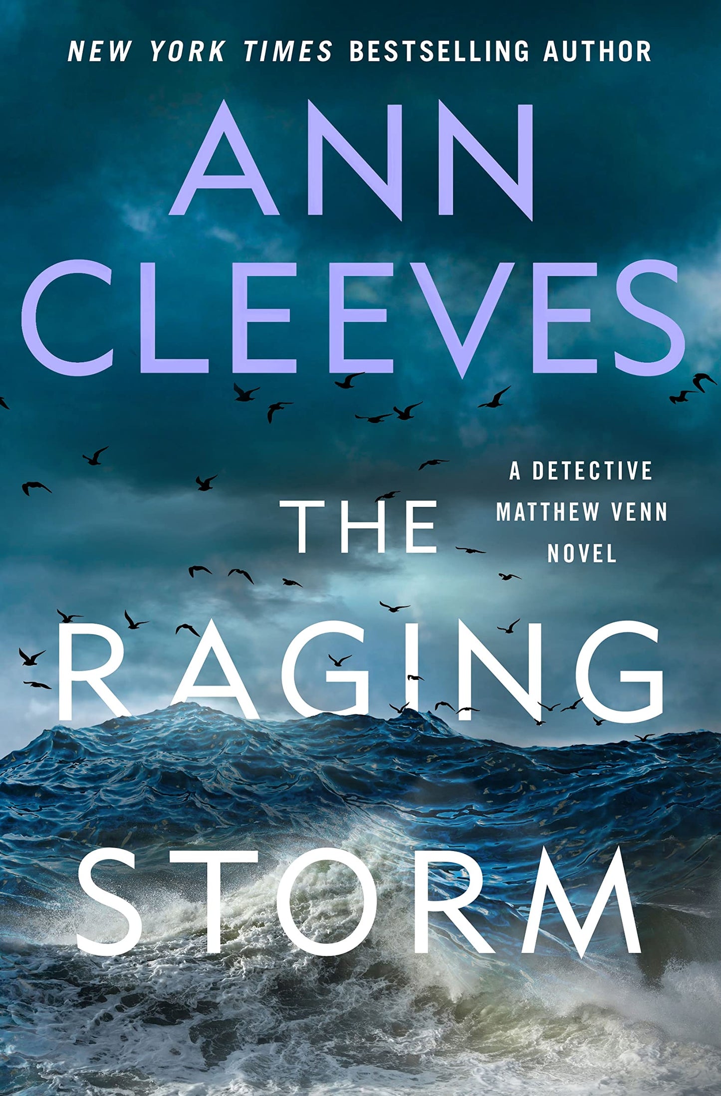 Raging Storm: A Detective Matthew Venn Novel book cover