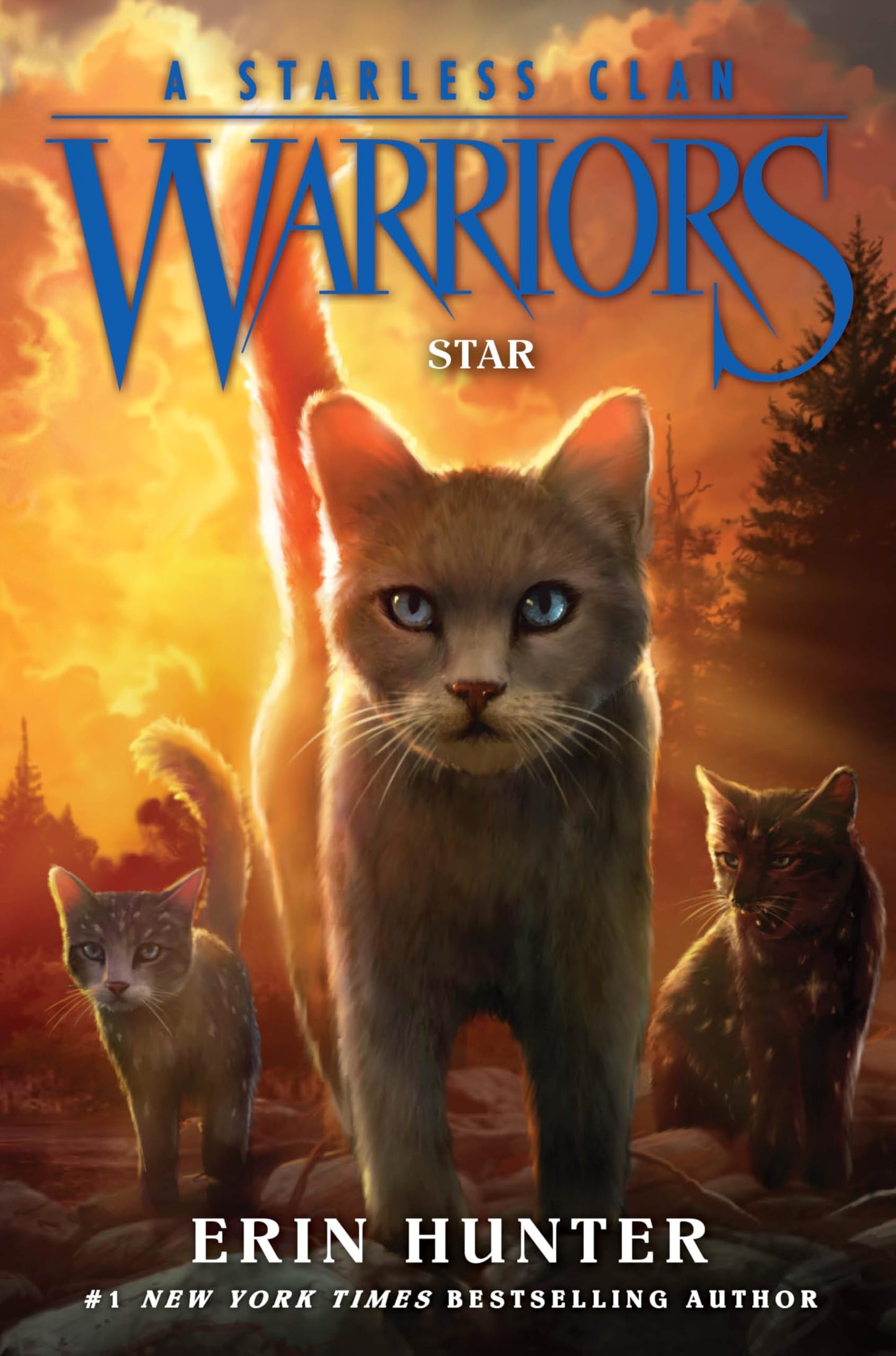 Star book cover