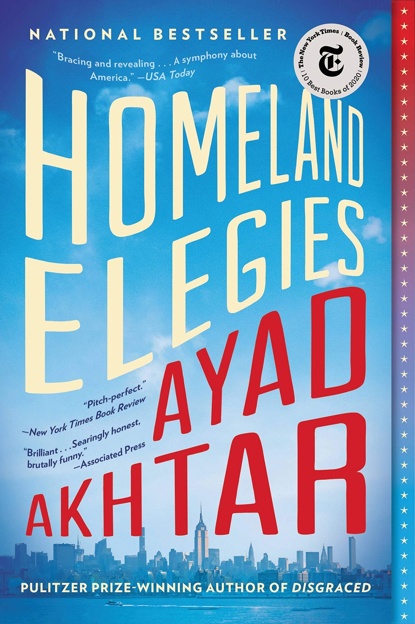 Homeland Elegies book cover