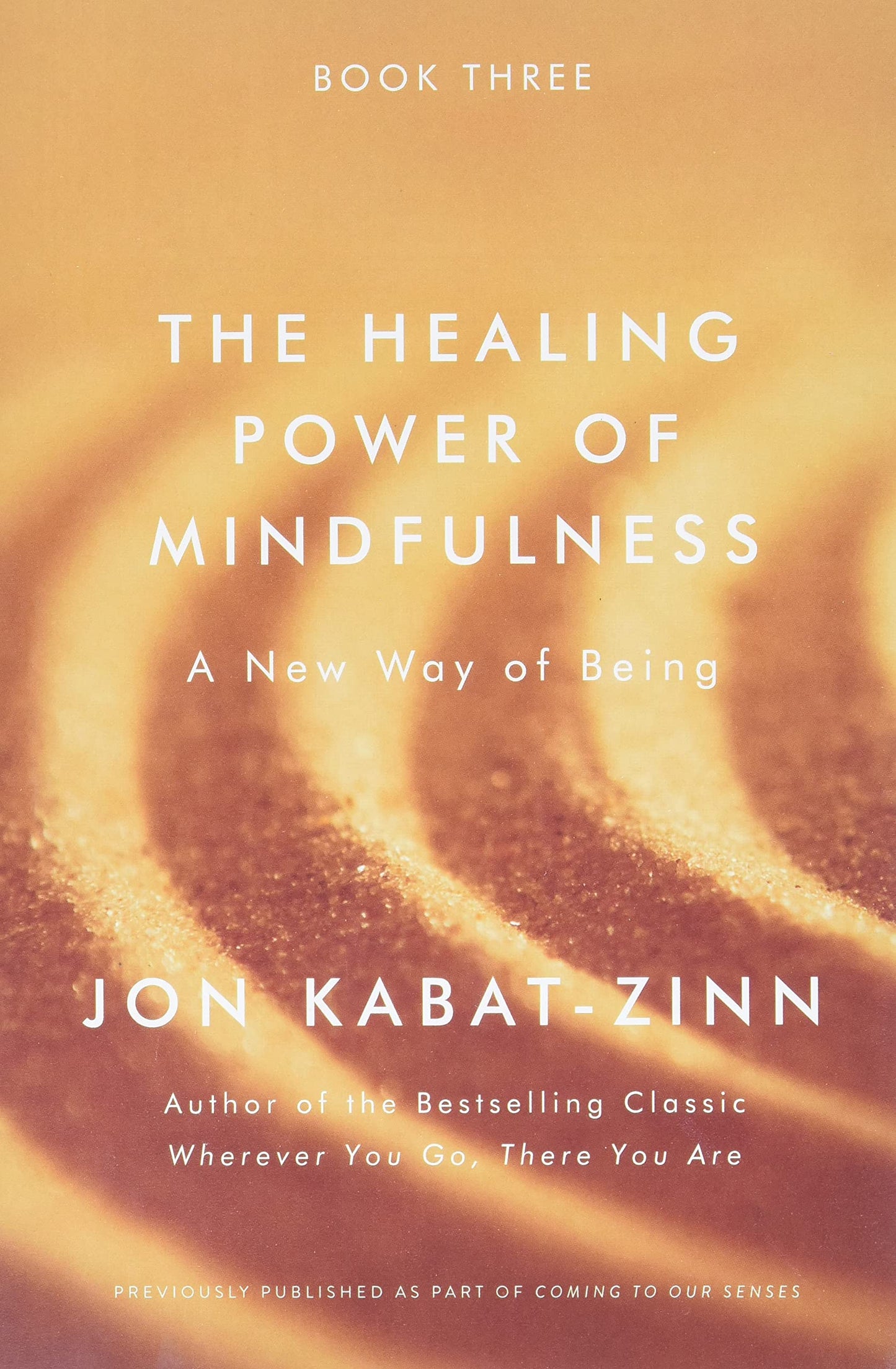 The Healing Power of Mindfulness: A New Way of Being book cover