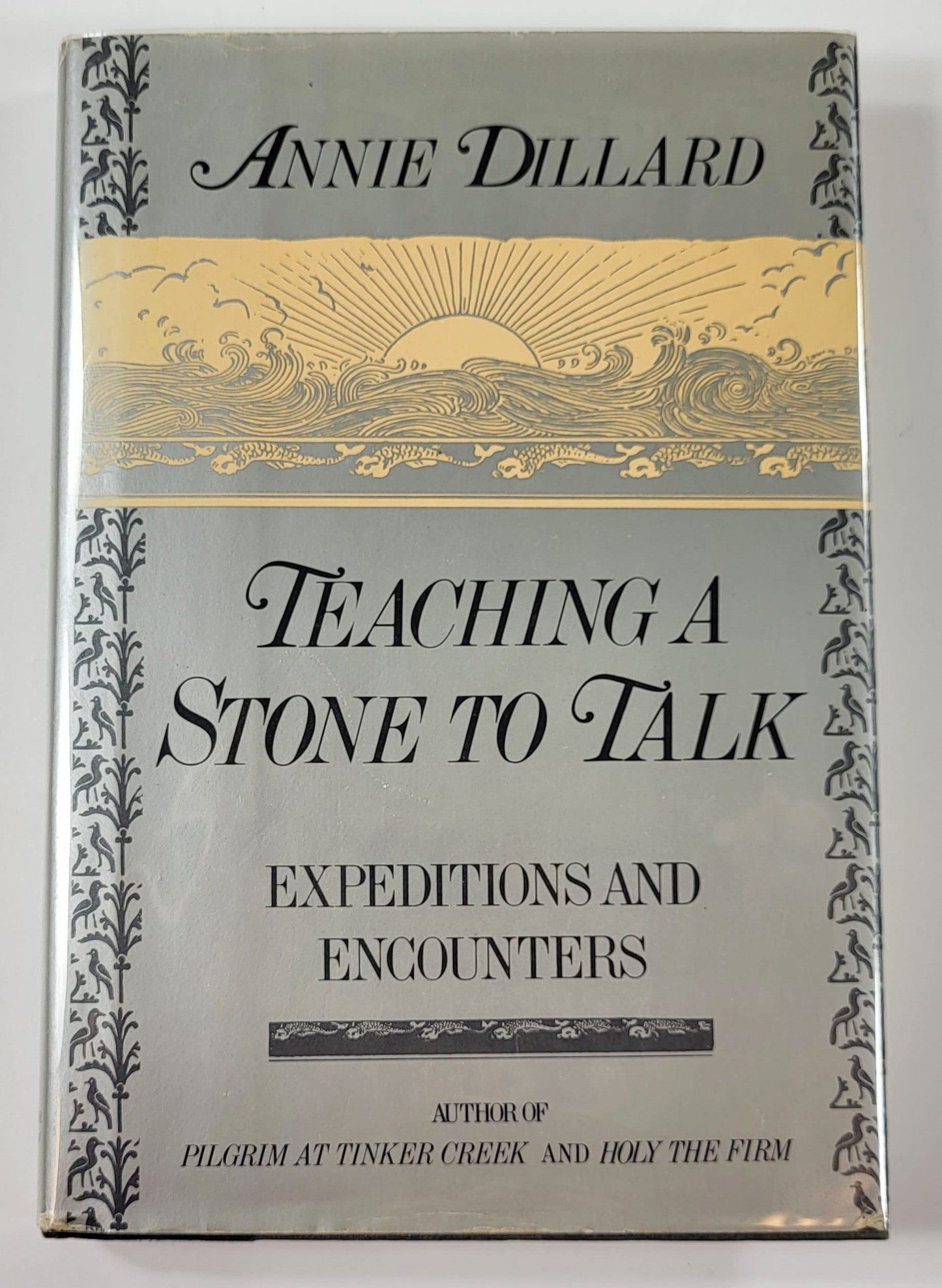 Teaching a Stone to Talk: Expeditions a: Expeditions and Encounters book cover