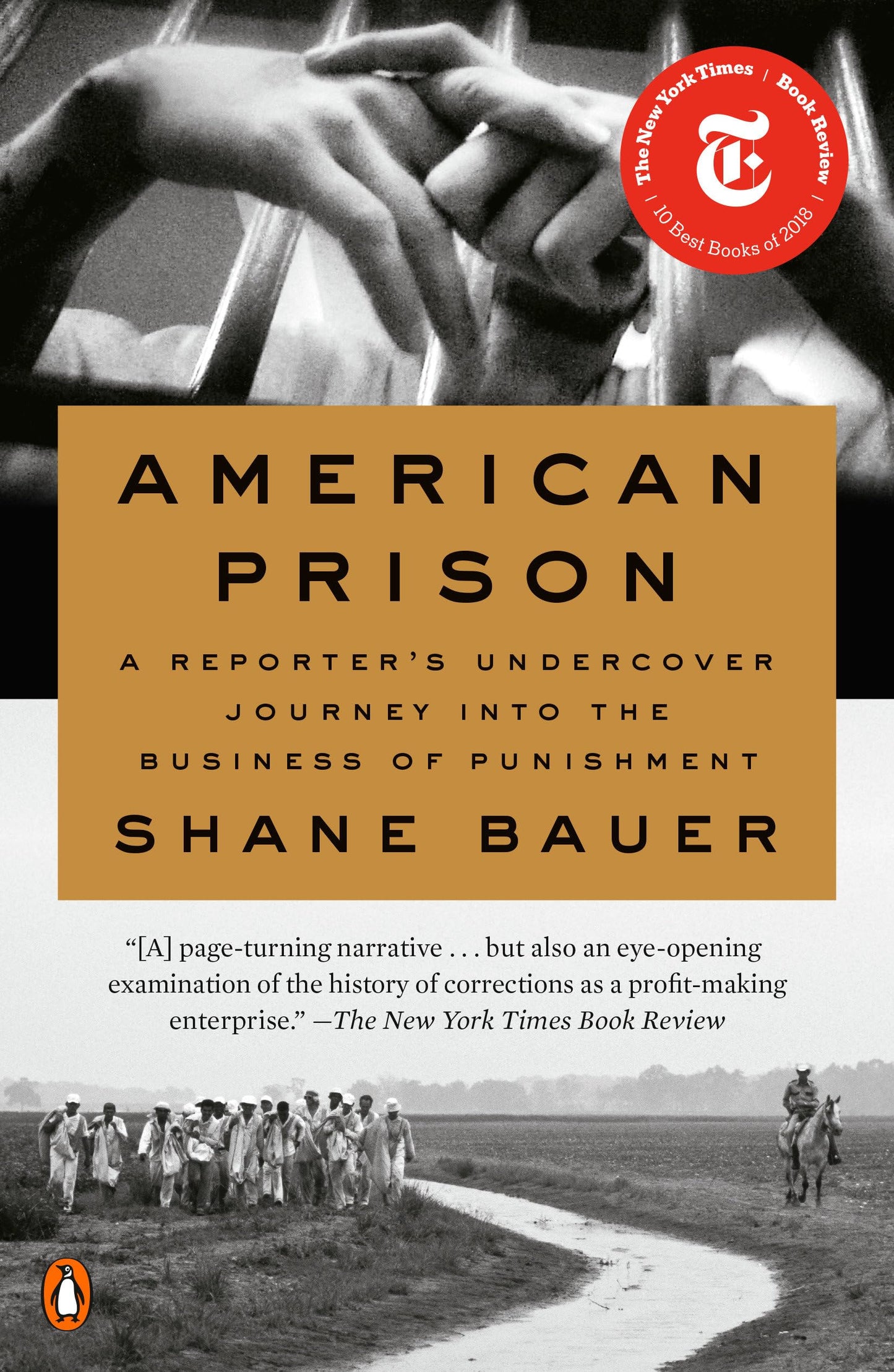 American Prison: A Reporter's Undercover Journey Into the Business of Punishment book cover