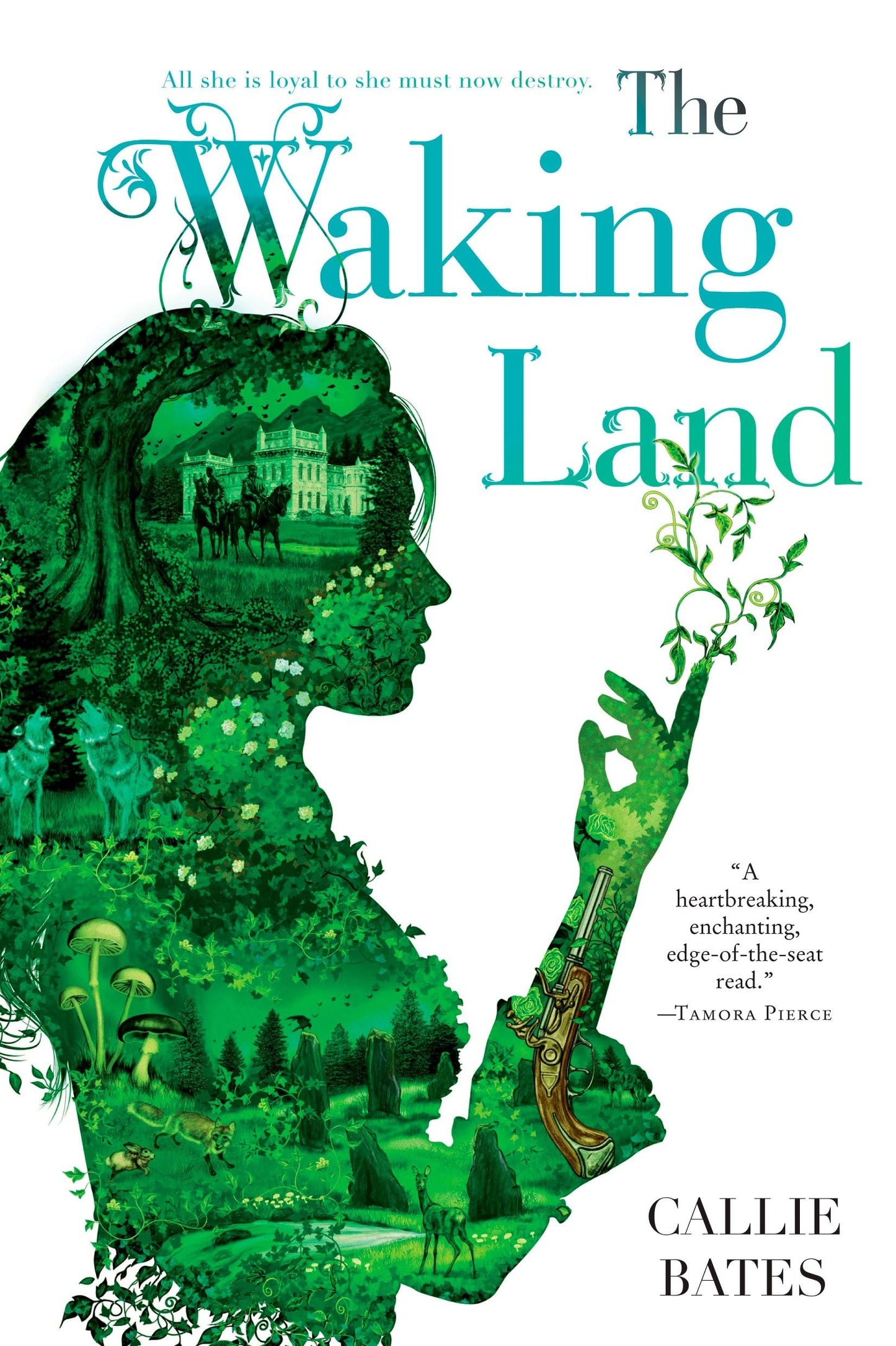 Waking Land book cover